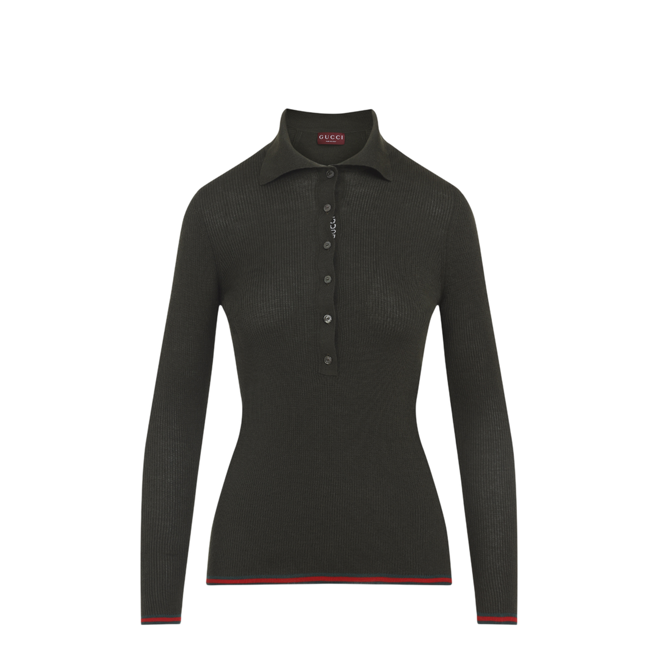 Web Polo - Image 2