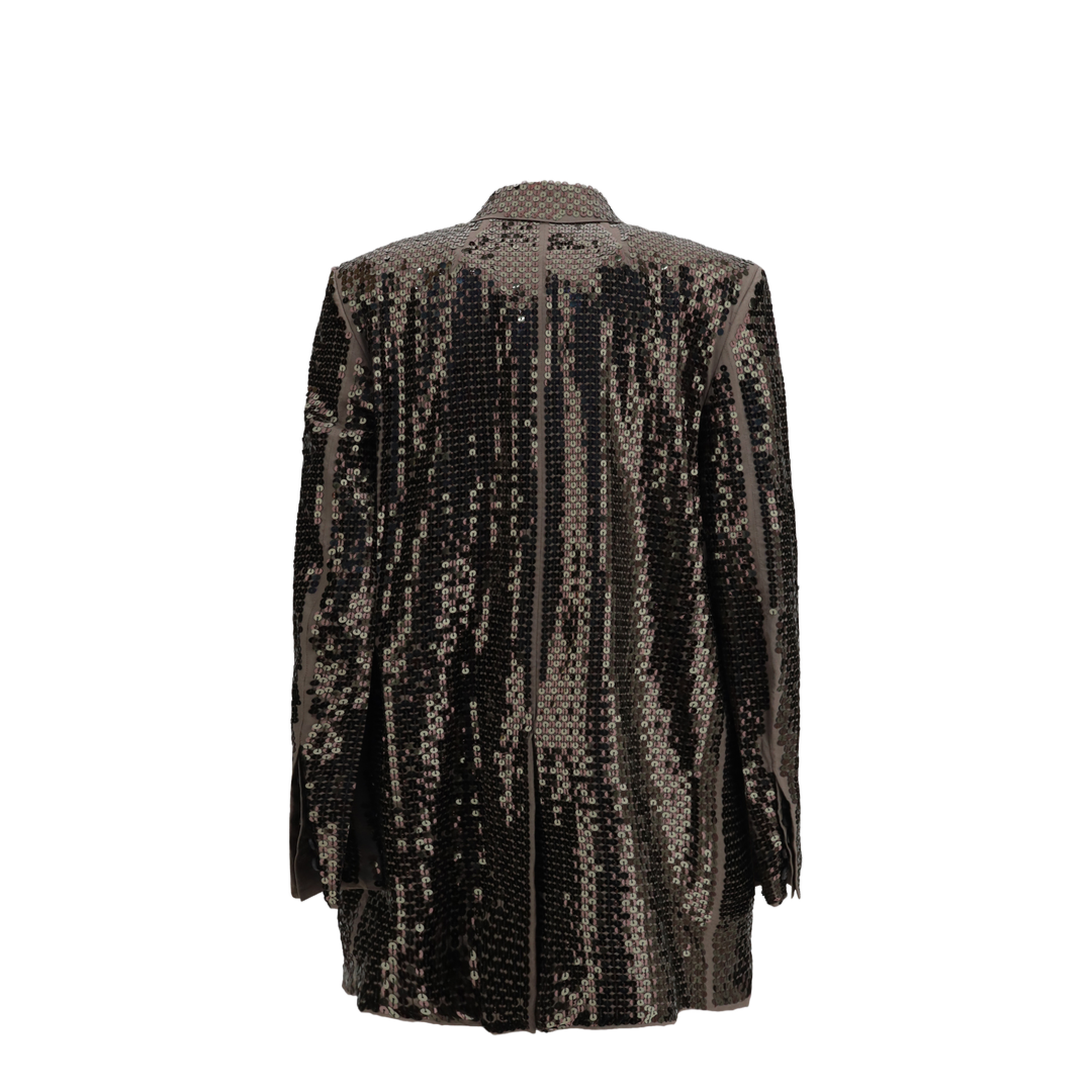 Concordian Embroidered Single-Breasted Jacket - Image 2