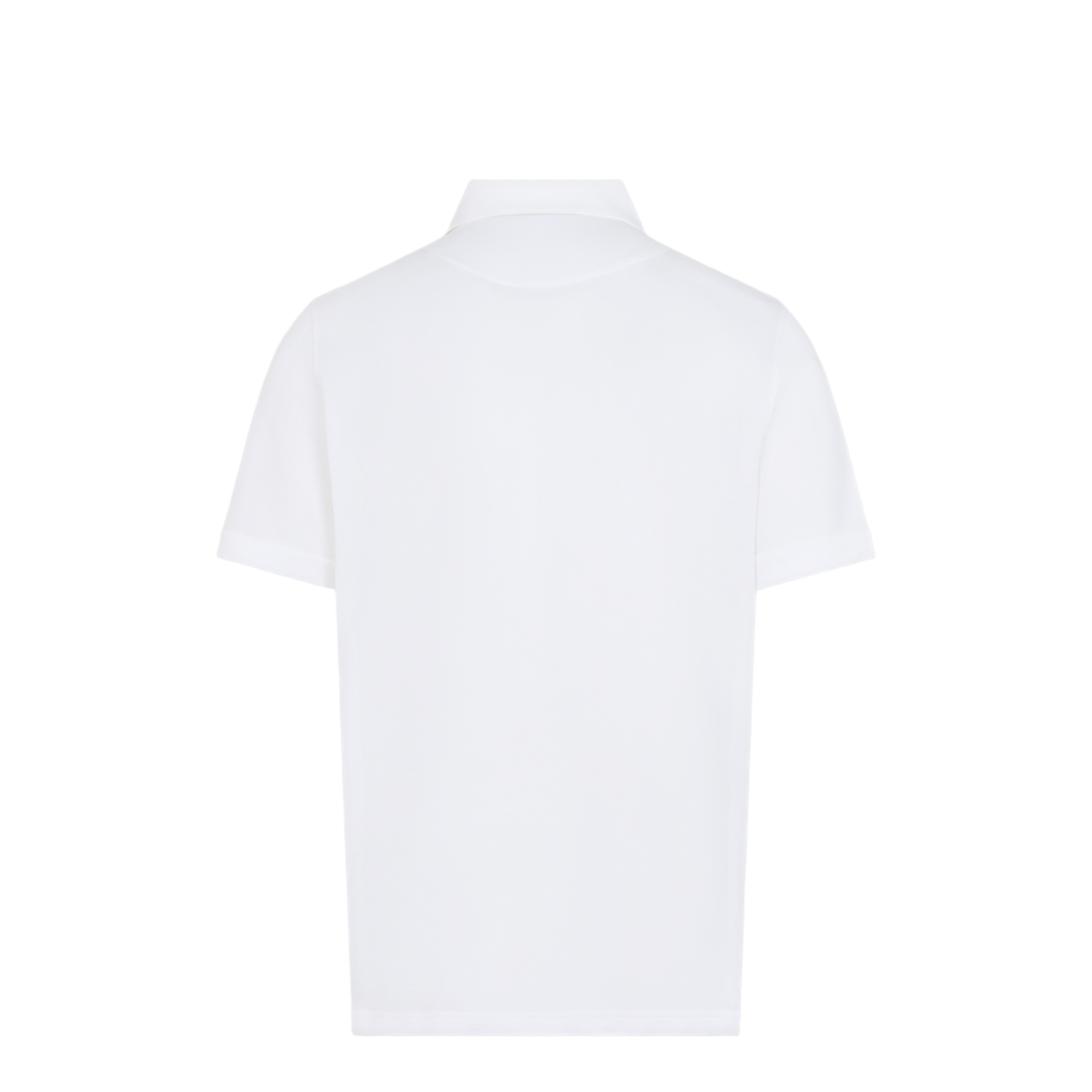 Polo - Image 4