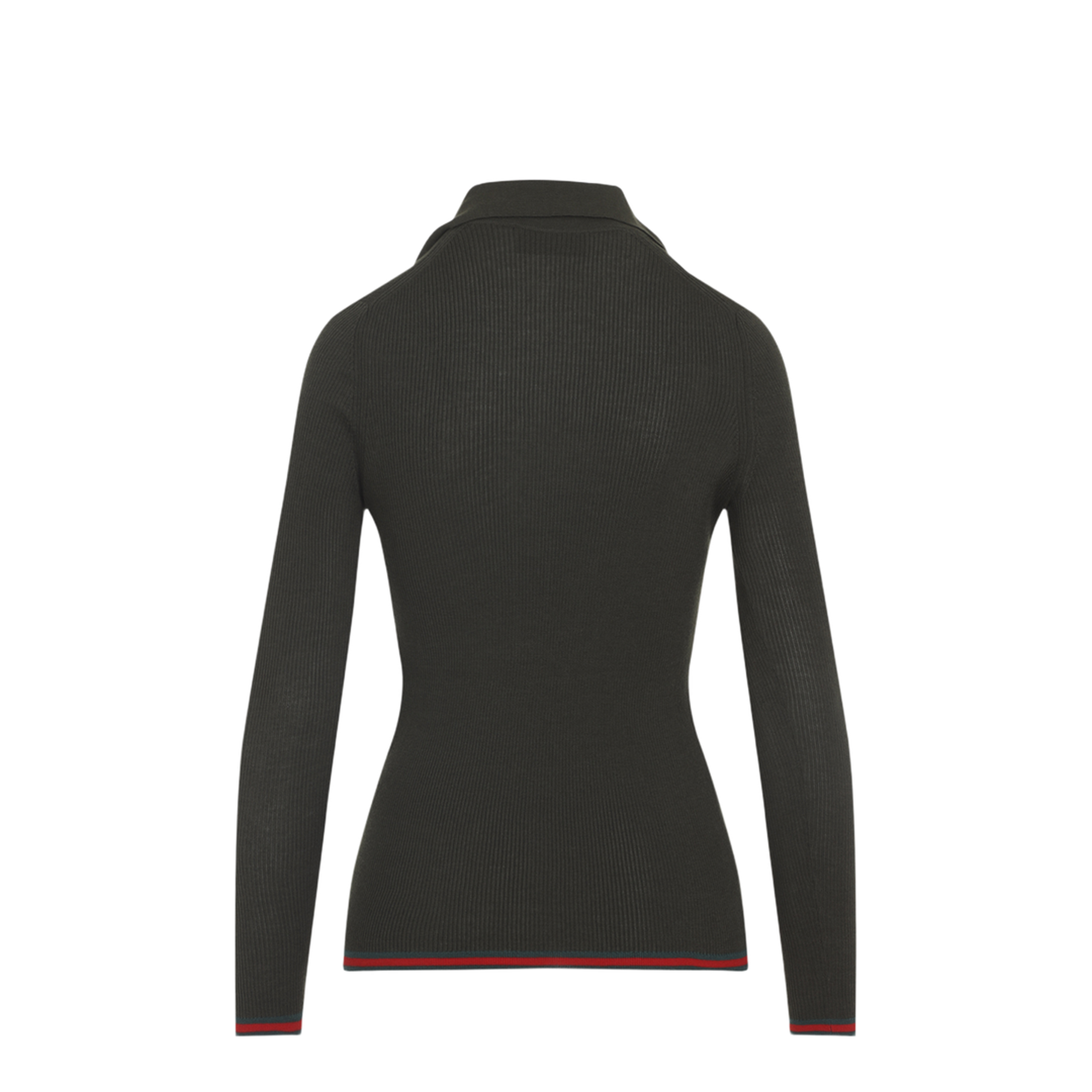 Web Polo - Image 4
