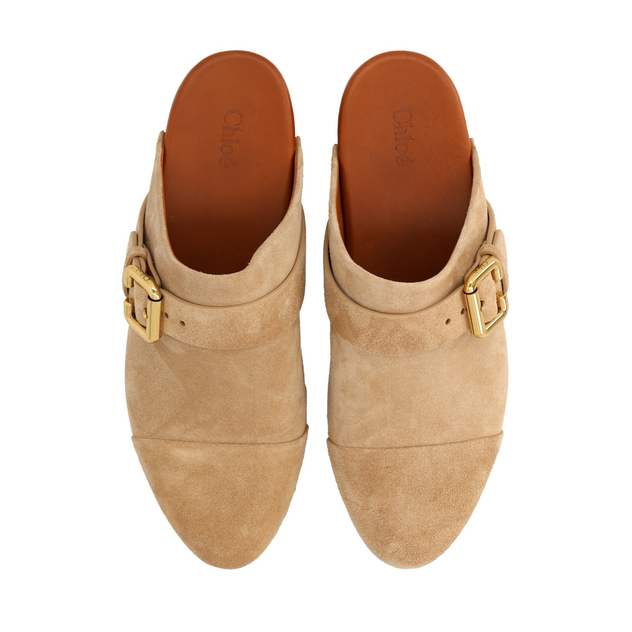 MULE "JEANNETTE" - Image 5