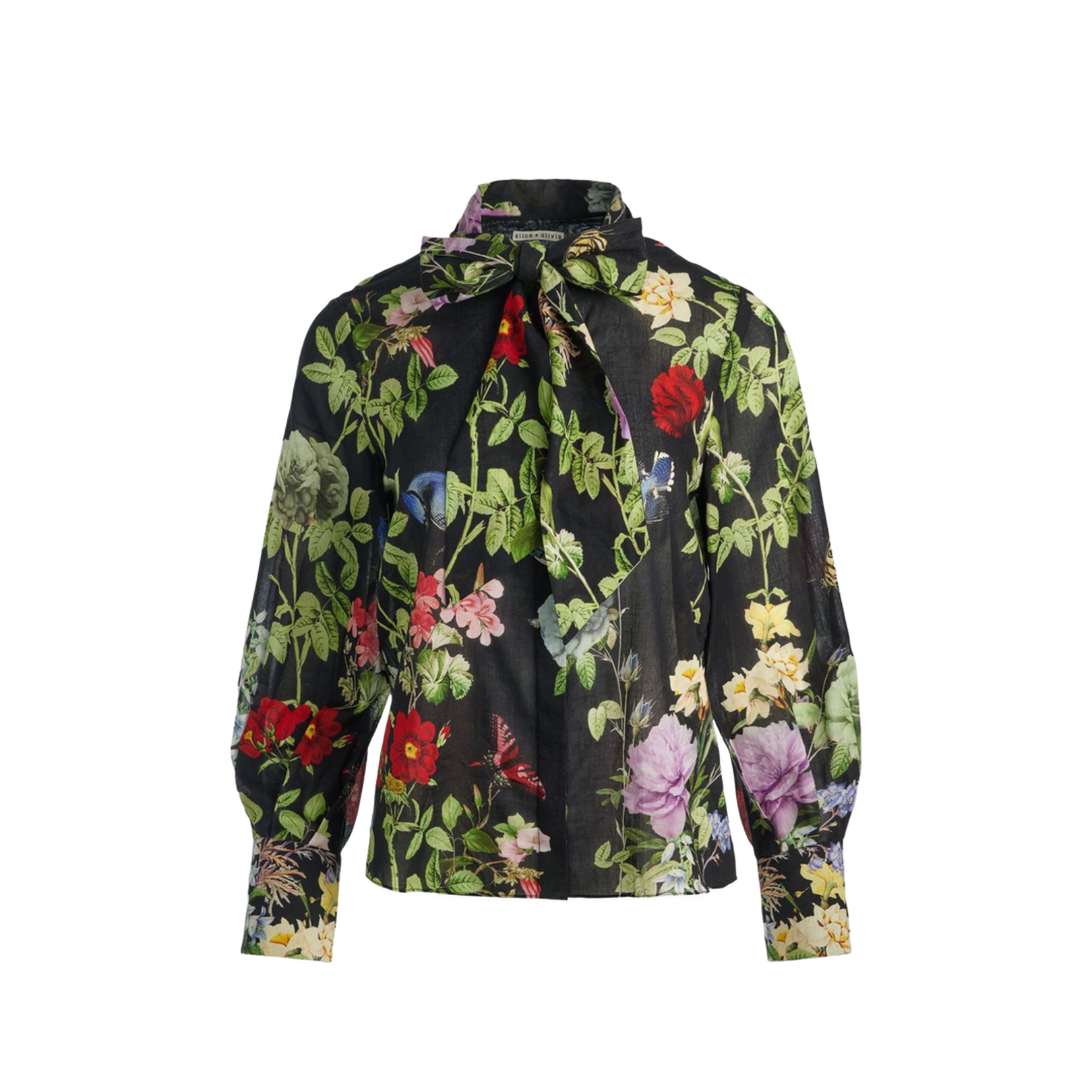 Shirts Black - Image 1