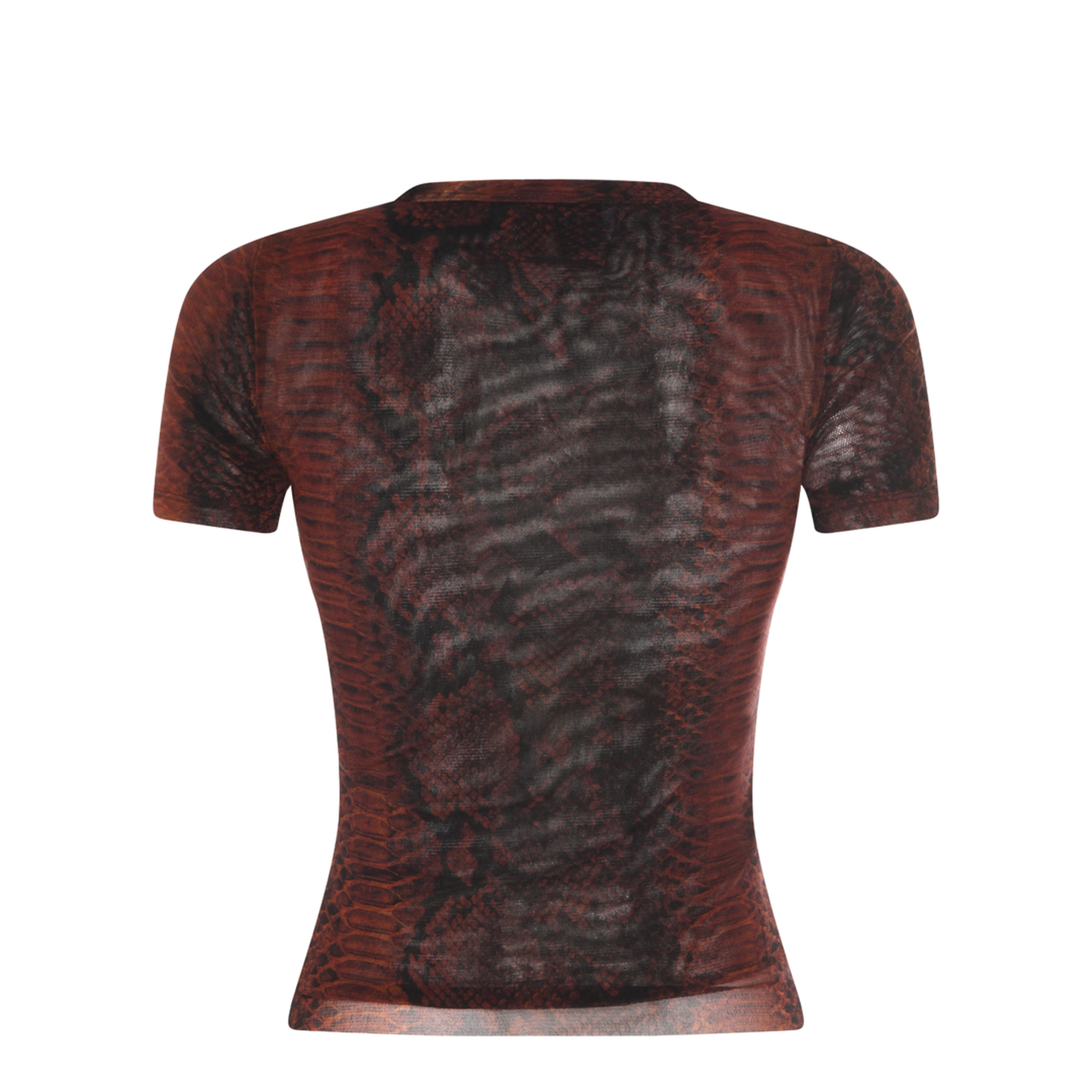 T-shirts and Polos - Image 2