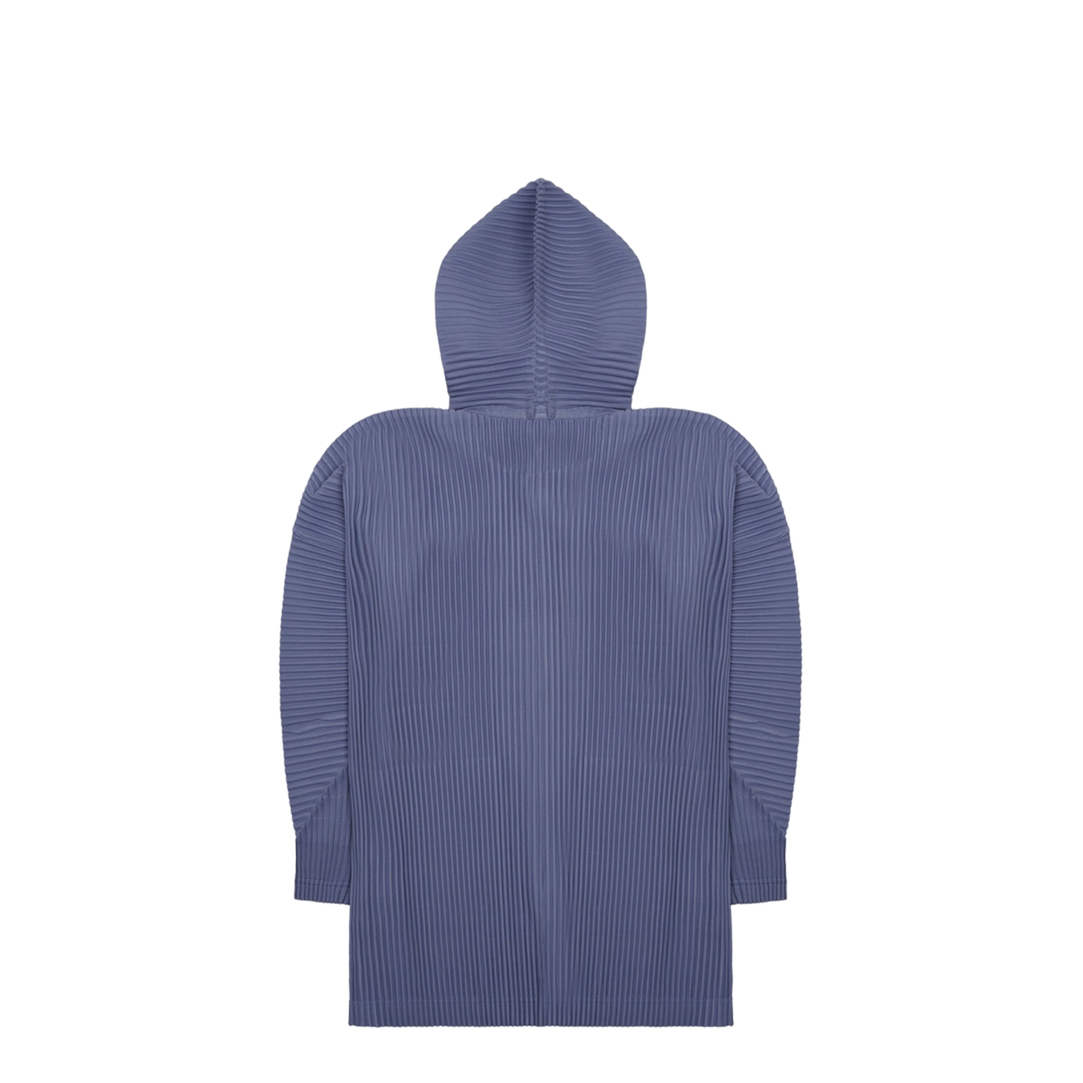 Pleated Sweatshirt with Buttons - Image 2