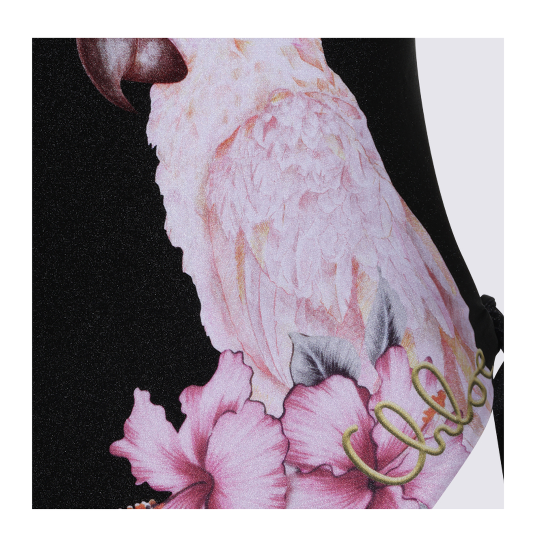 Sea clothing - Image 6