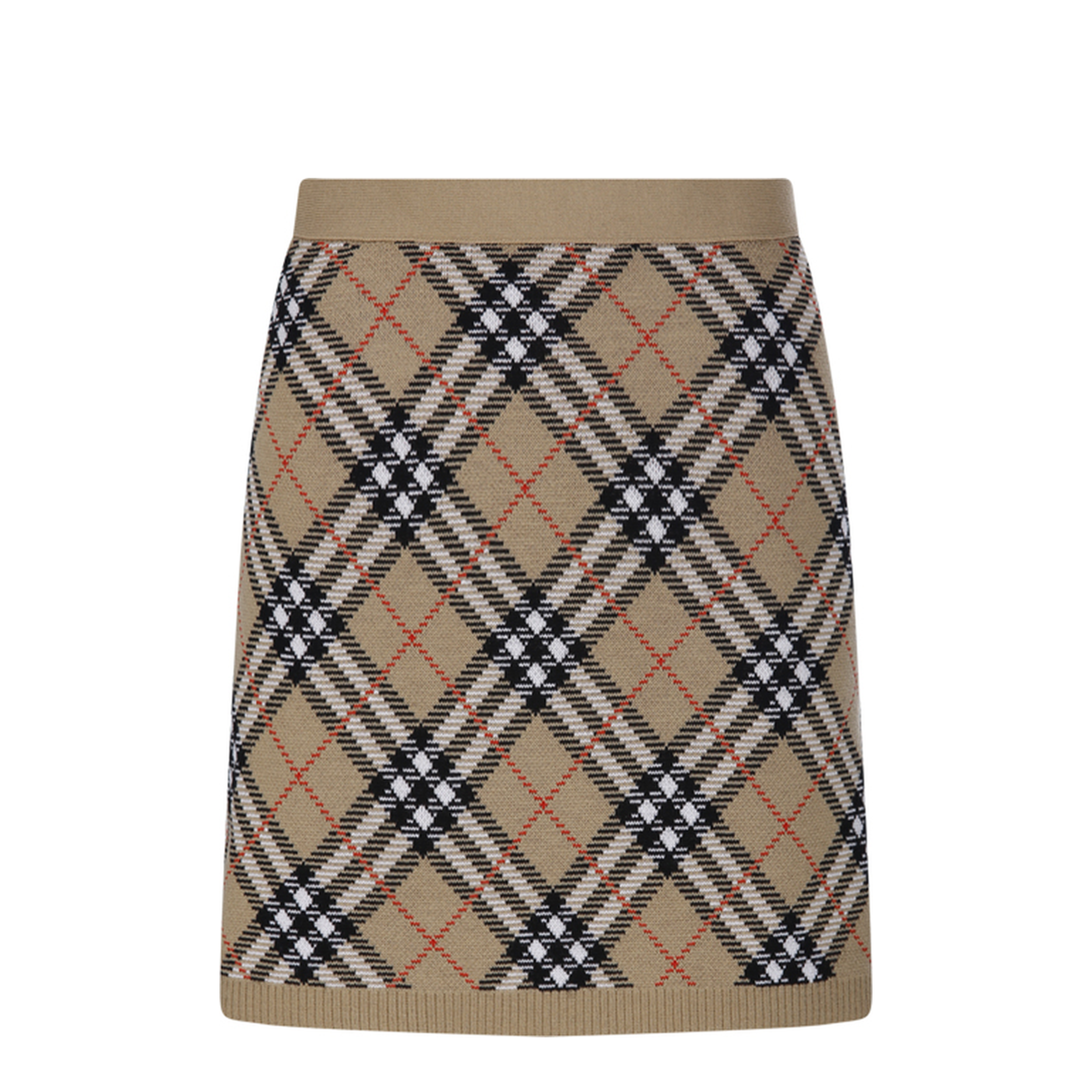 Embroidered Wool Blend Mini Skirt - Image 1