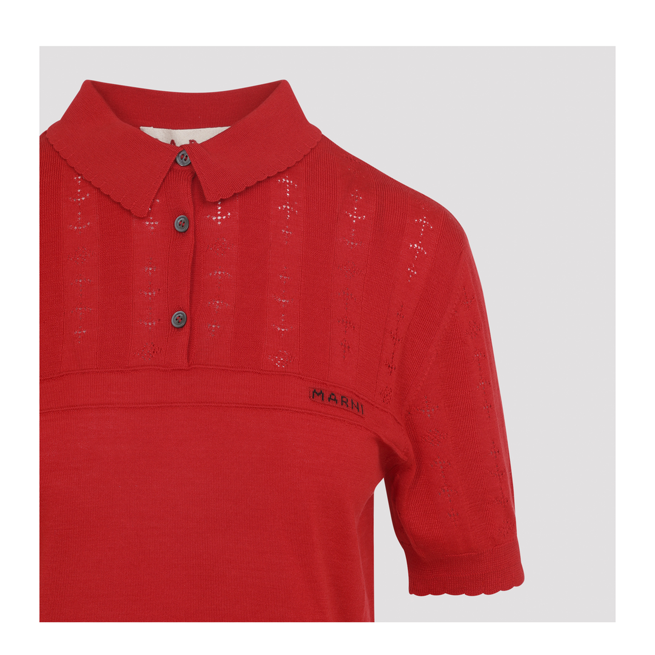 Polo - Image 4