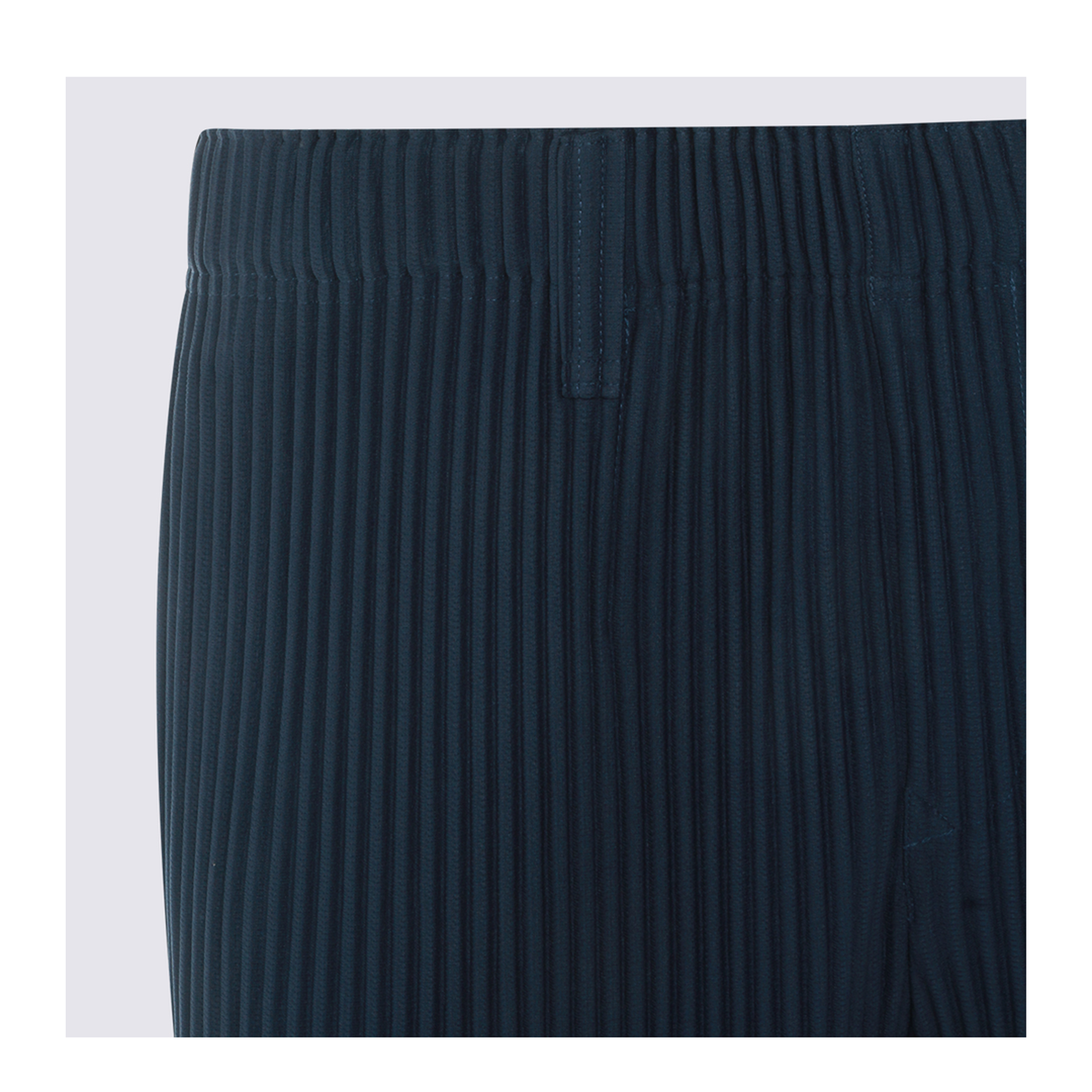 Pleated Pants - Image 5