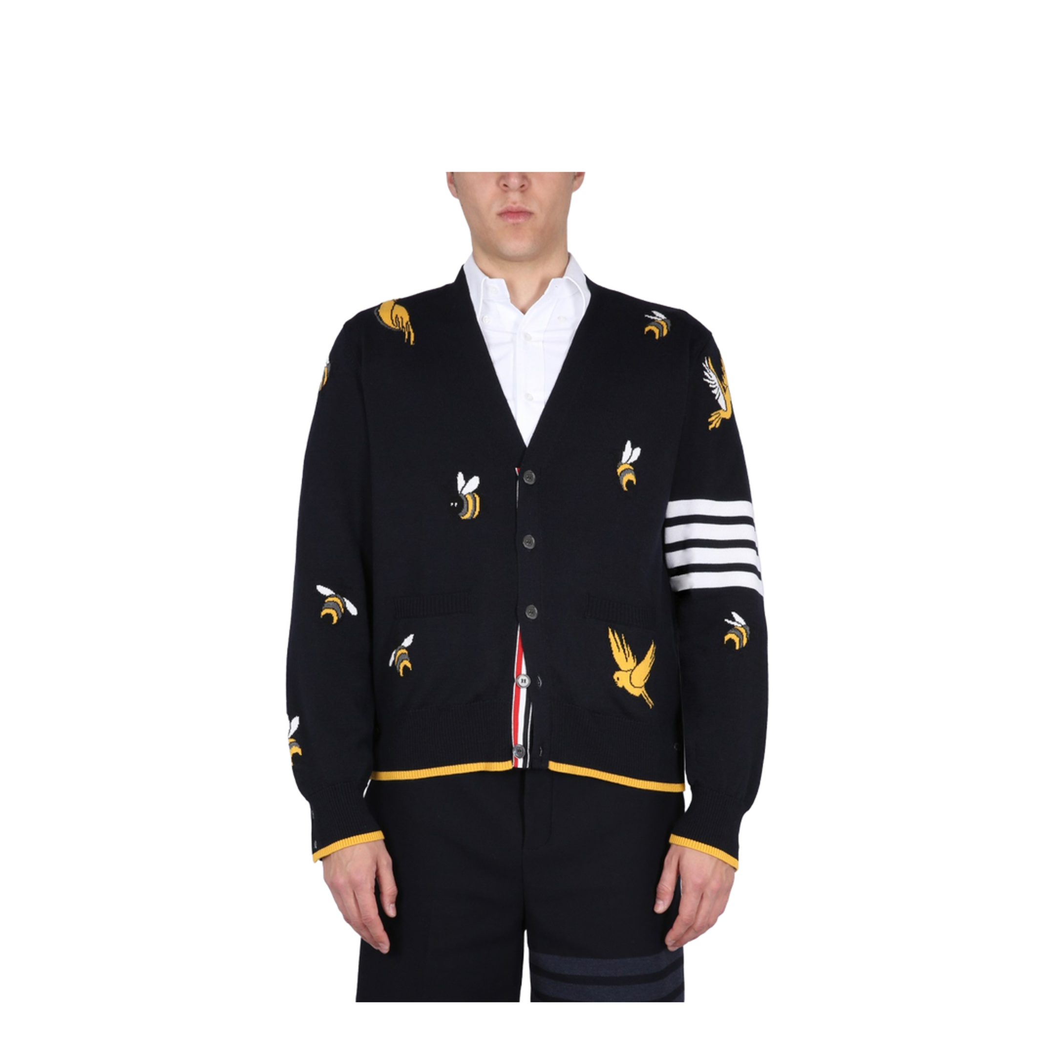 Cardigan with Birds and Bees Inlays - Image 1