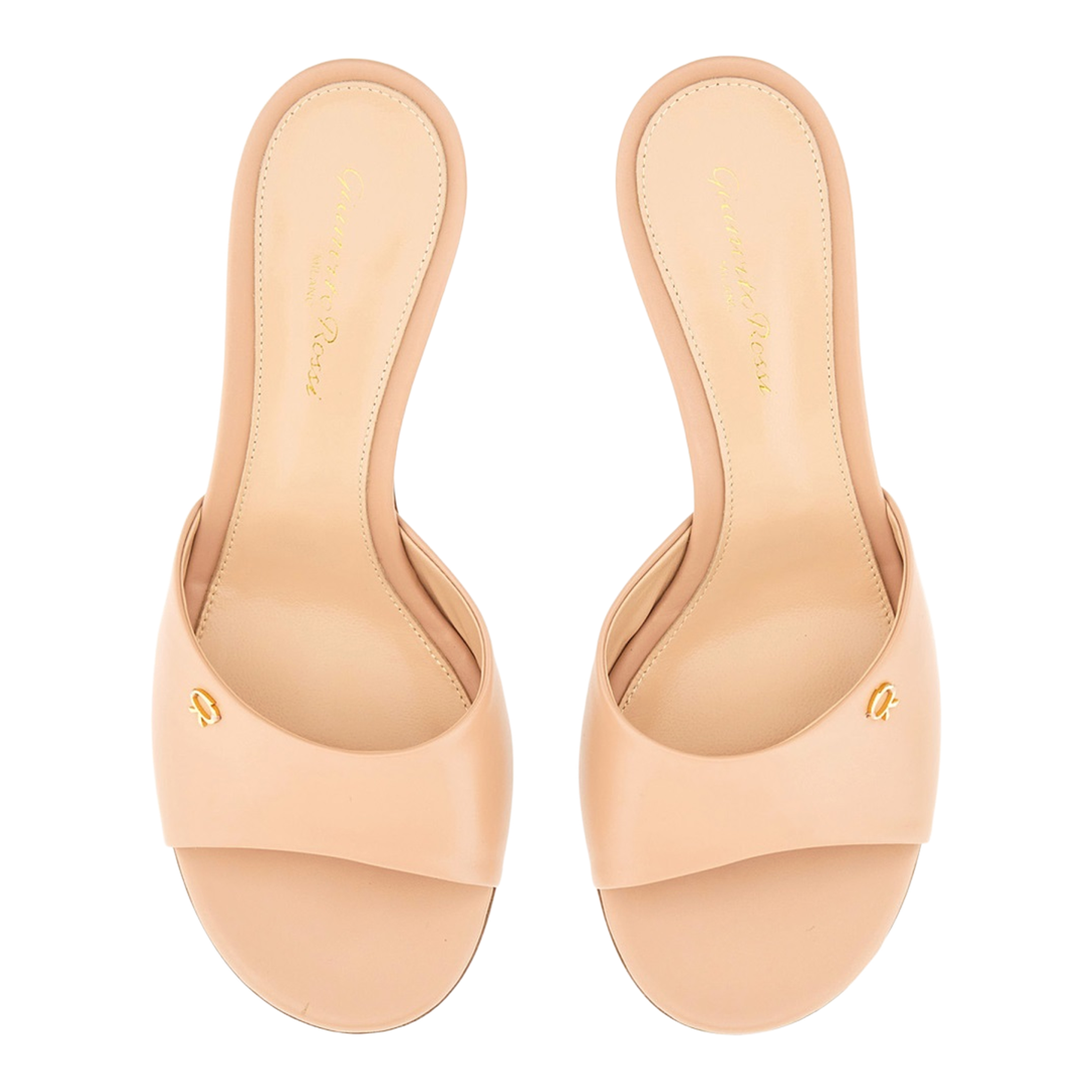 Ascent Mule - Image 3