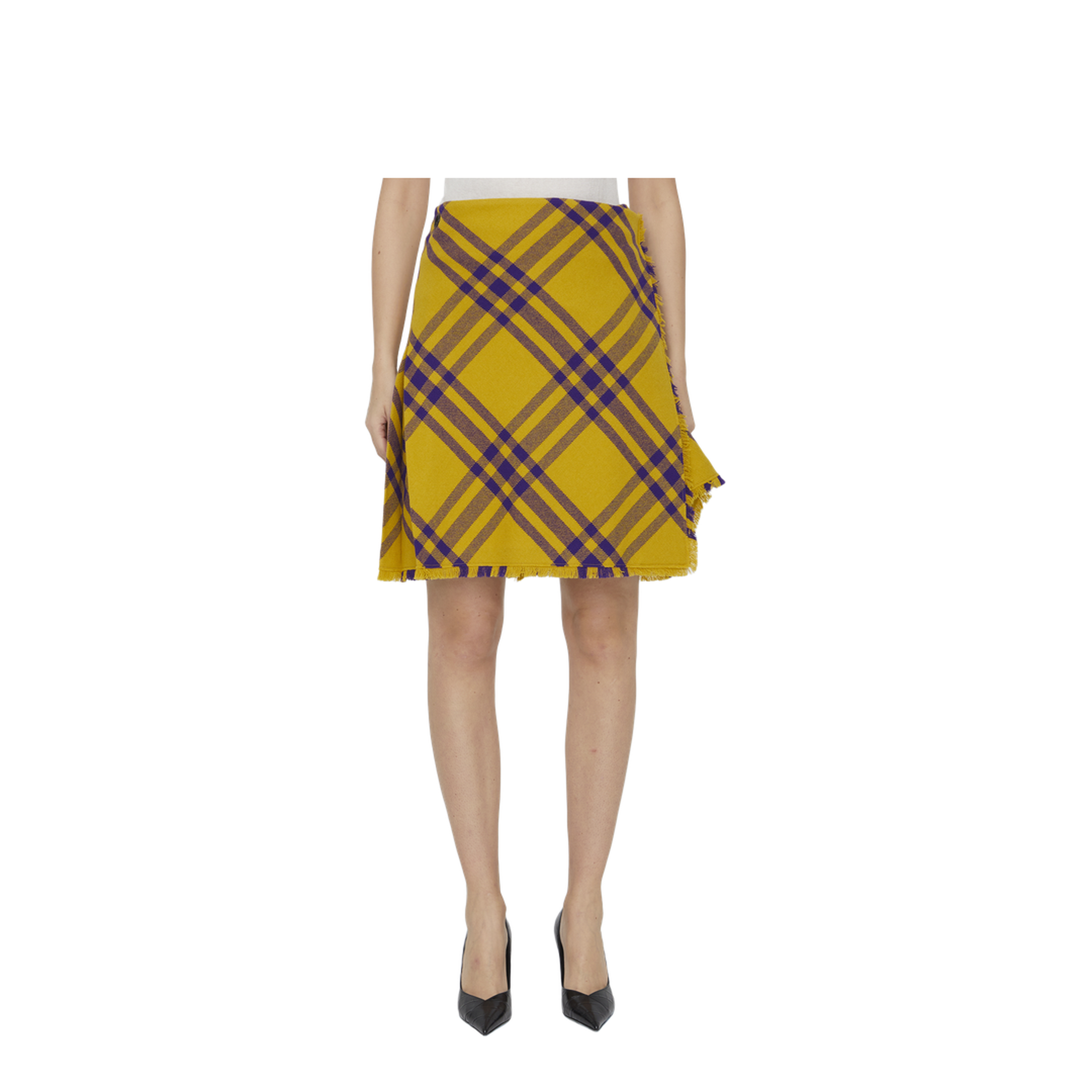 Embroidered Wool Skirt - Image 1