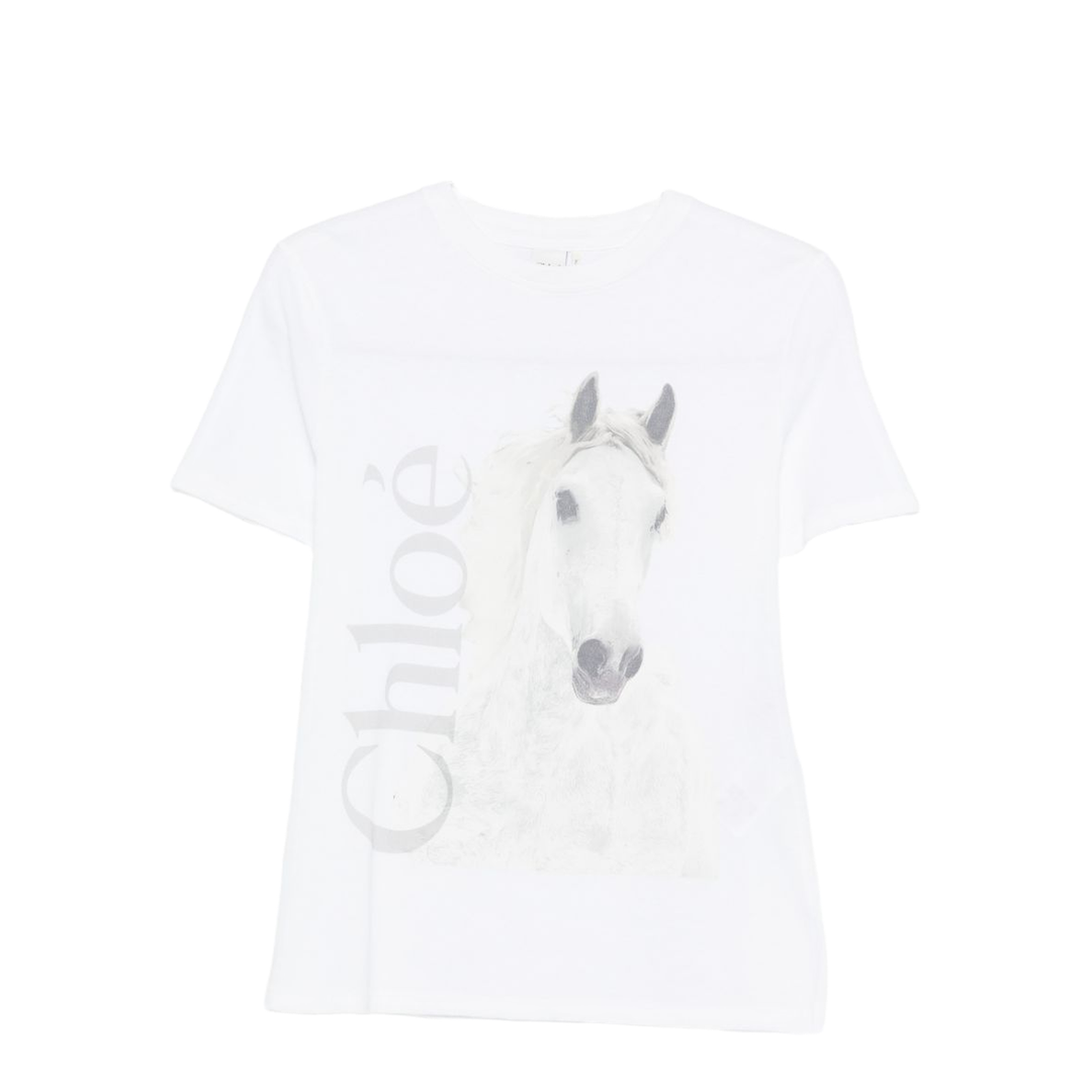 T-Shirts And Polos White - Image 1