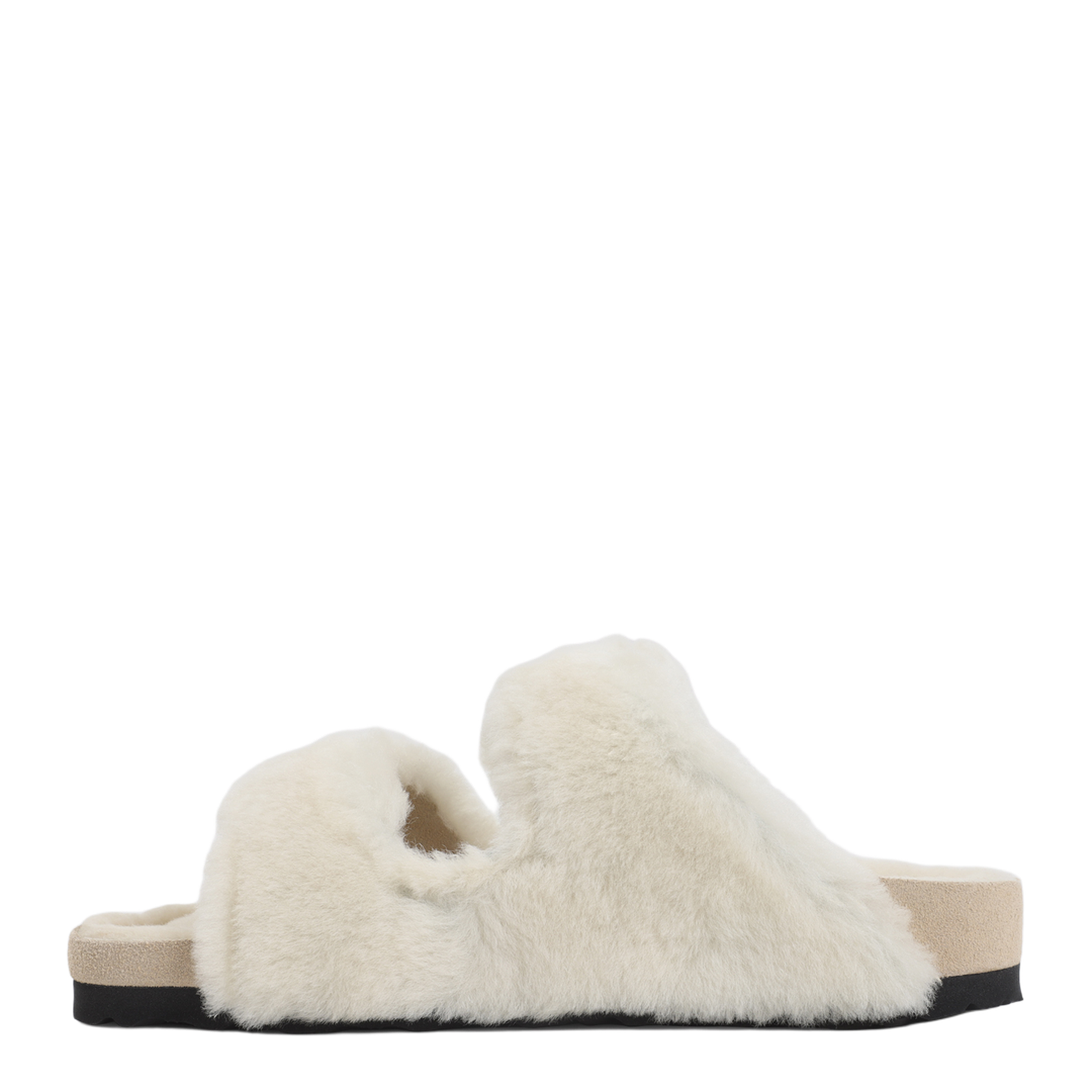 Arizona Mules - Image 4