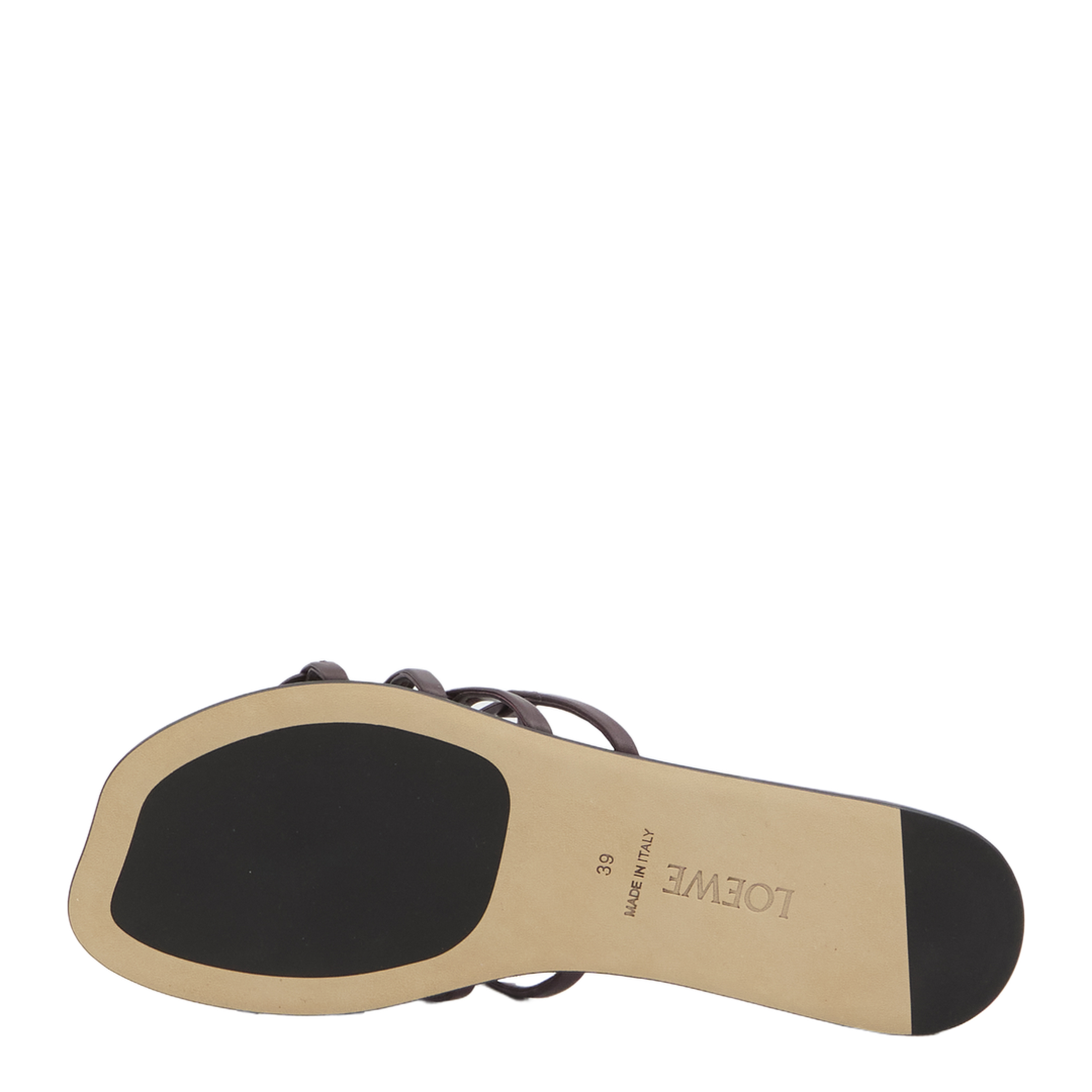 Anagram Petal Slides - Image 4