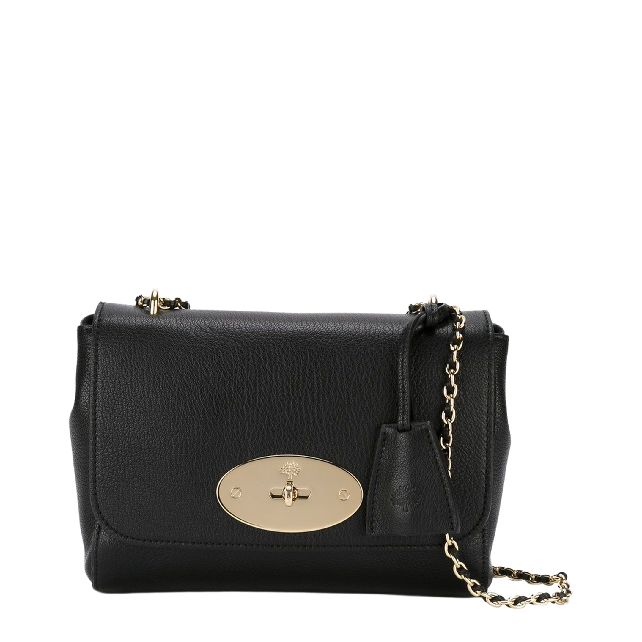 Toned Glossy Goat Leather Bag - Image 1