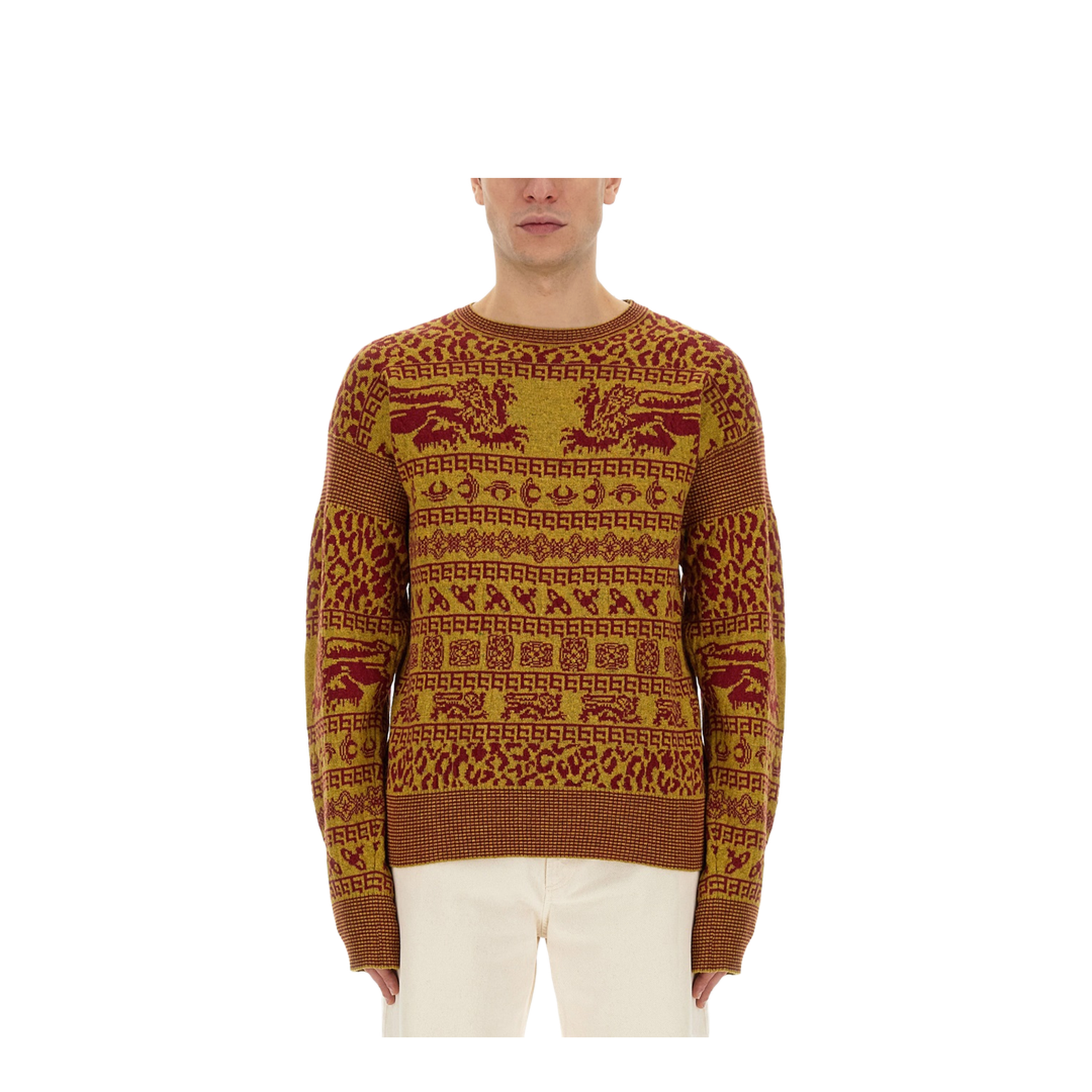 Lion Shirt - Image 1