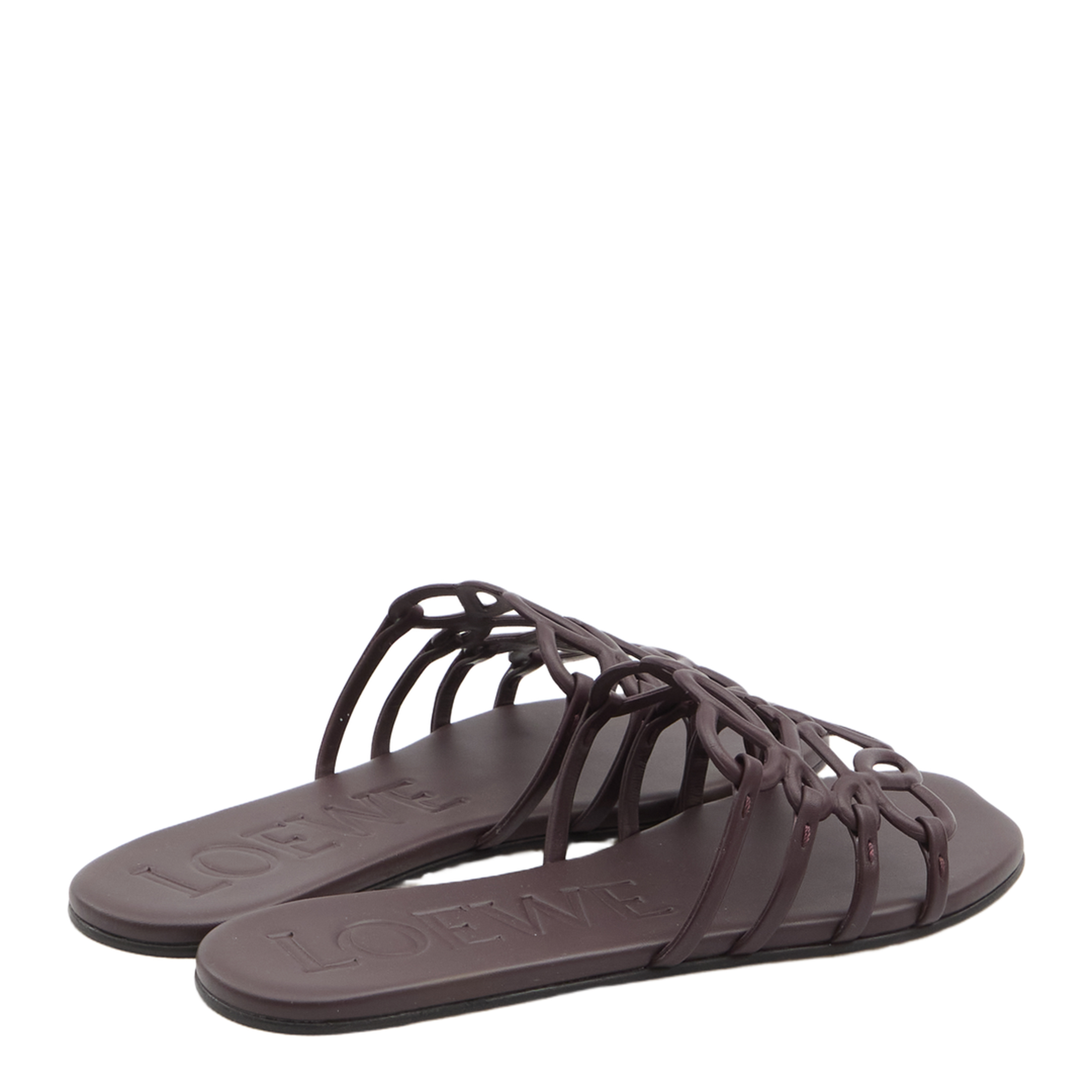 Anagram Petal Slides - Image 3