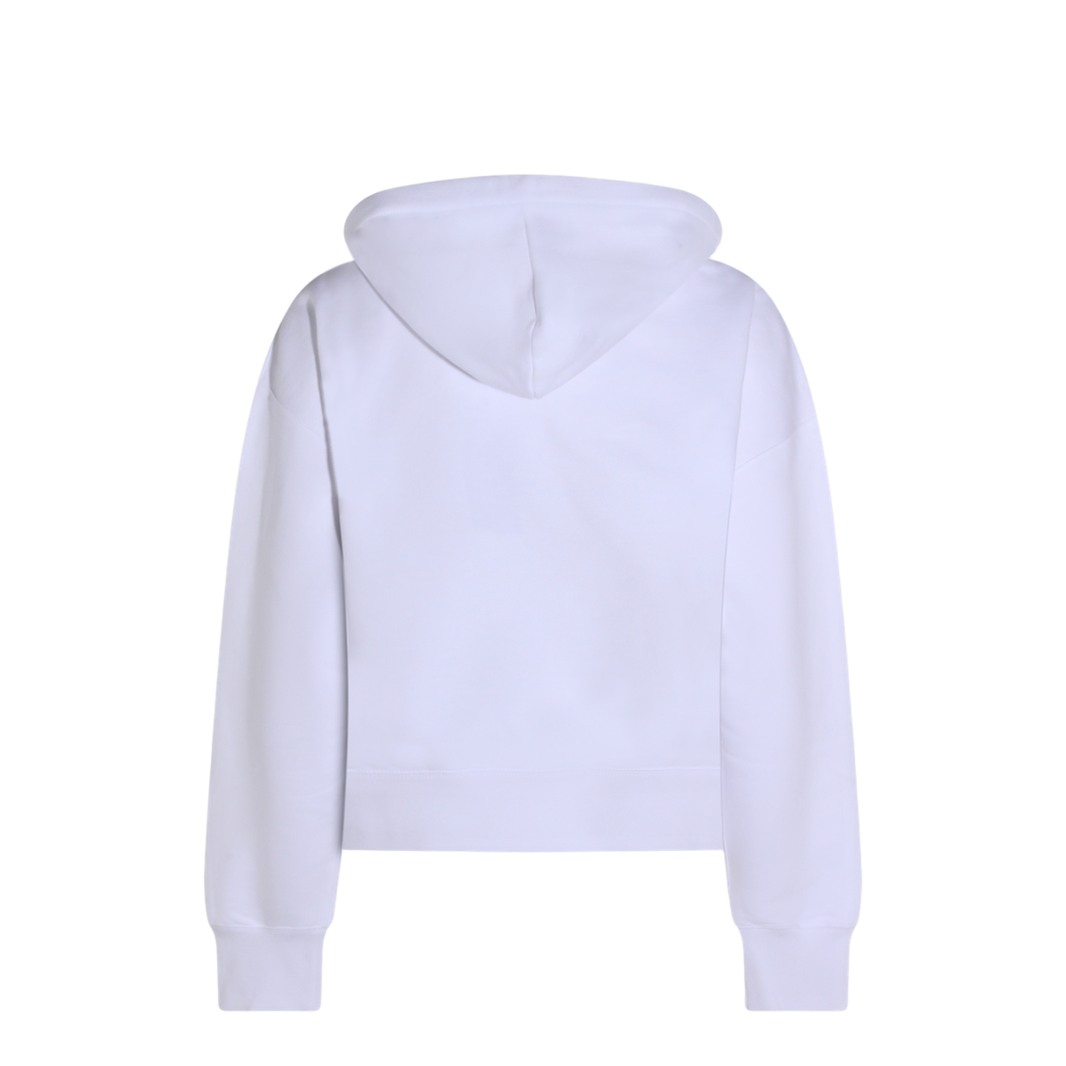 FELPE - Image 4