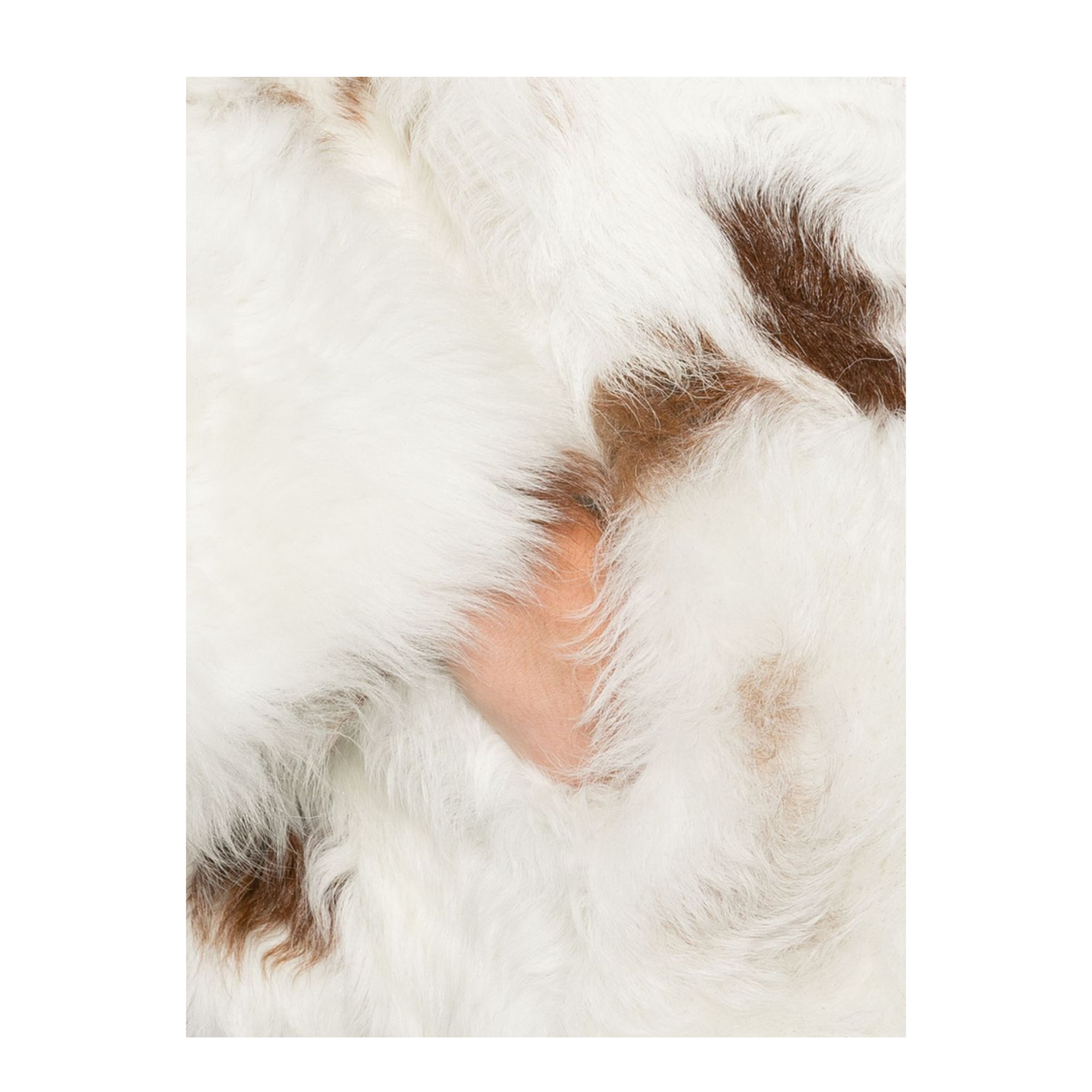 Hypnotic Spot Shearling Jacket - Image 3