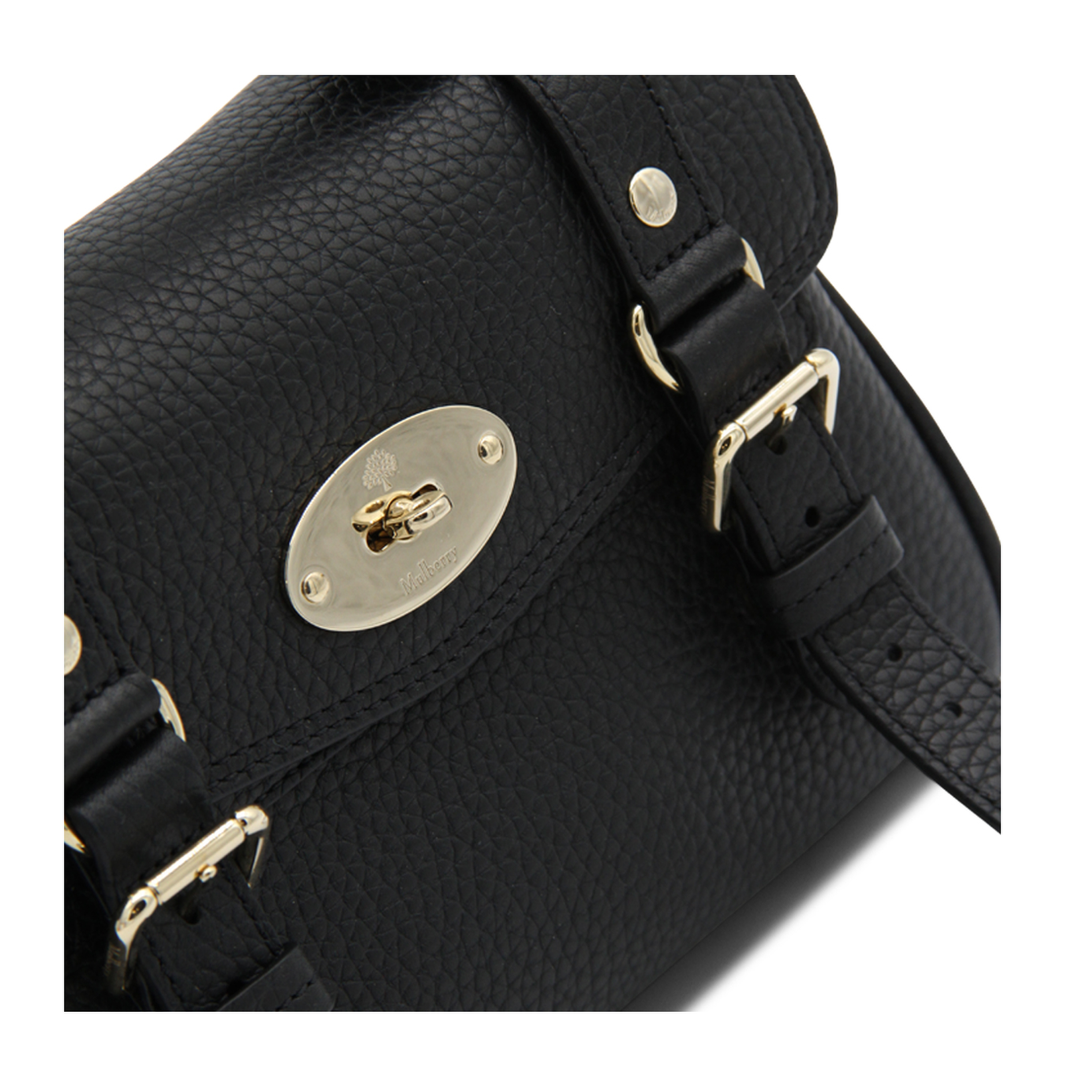 Alexa Mini Grainy Leather Bag - Image 6