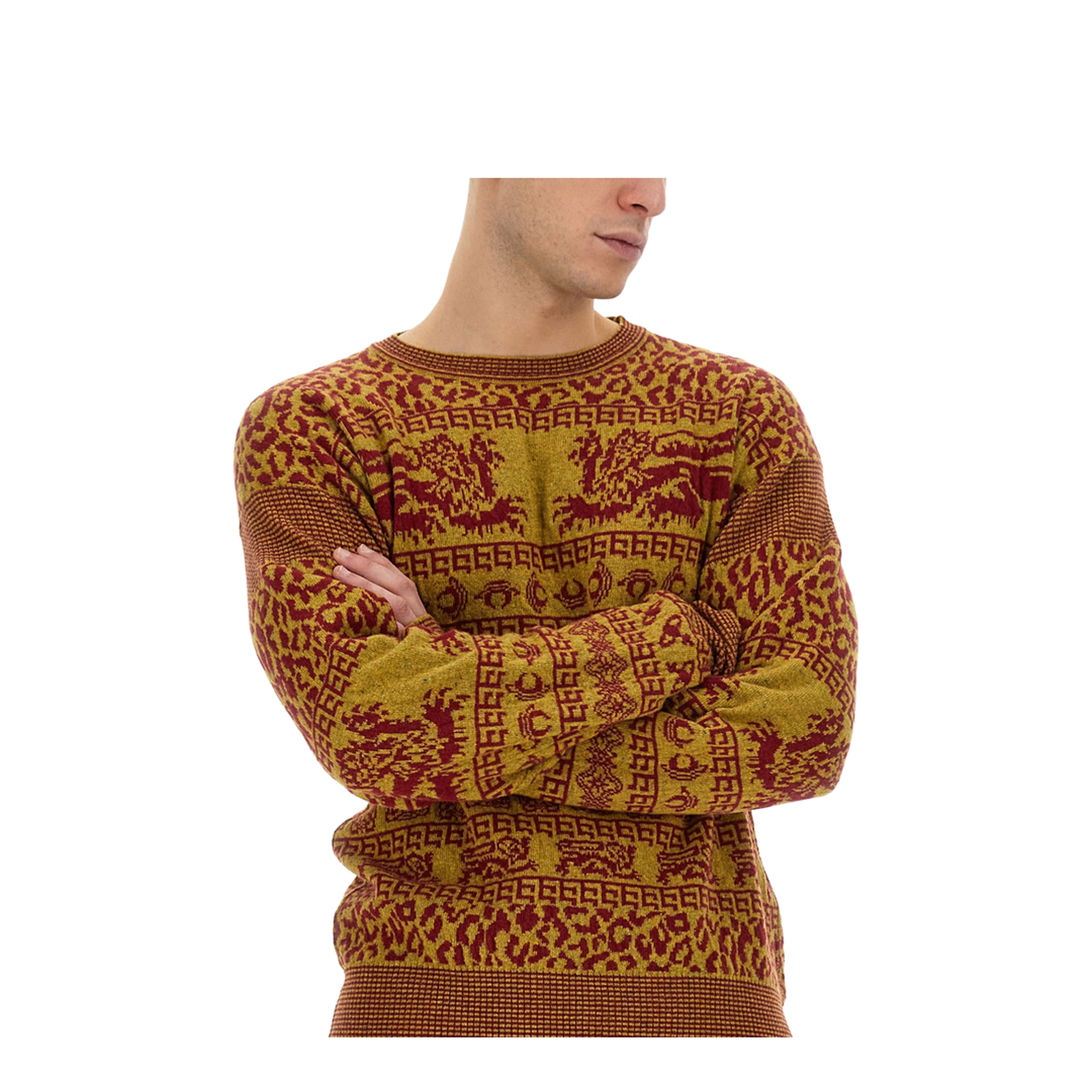 Lion Shirt - Image 3