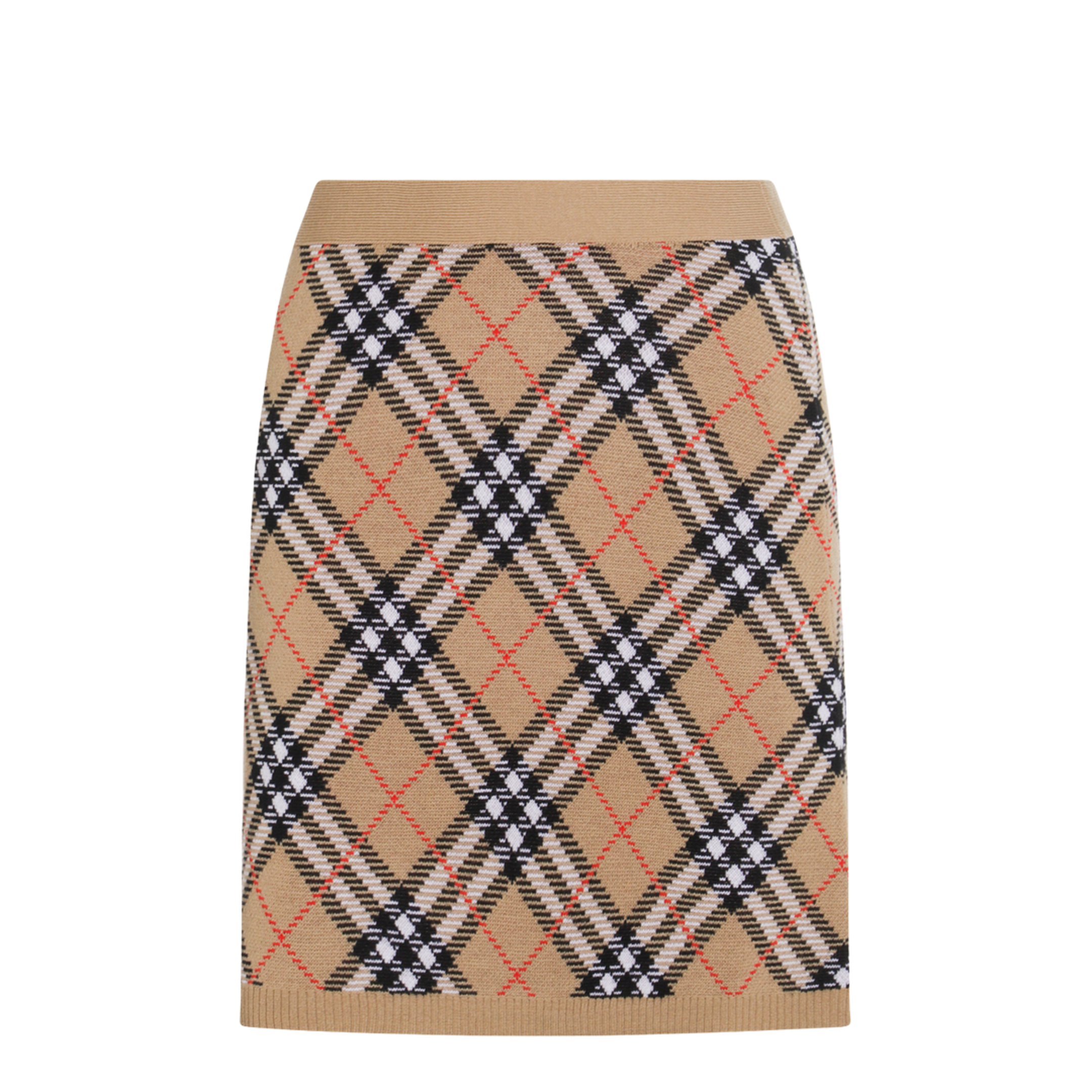 Embroidered Wool Blend Mini Skirt - Image 1