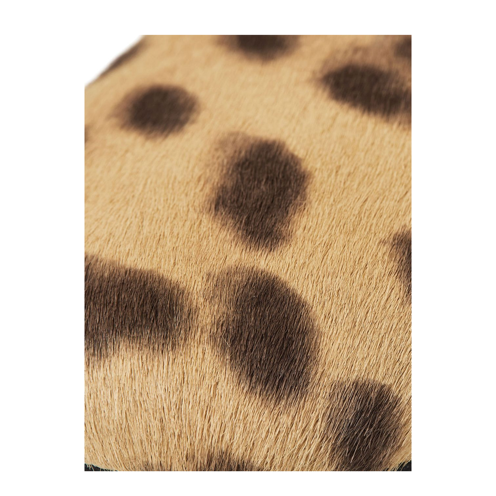 Pixie Mary Jane - Image 5