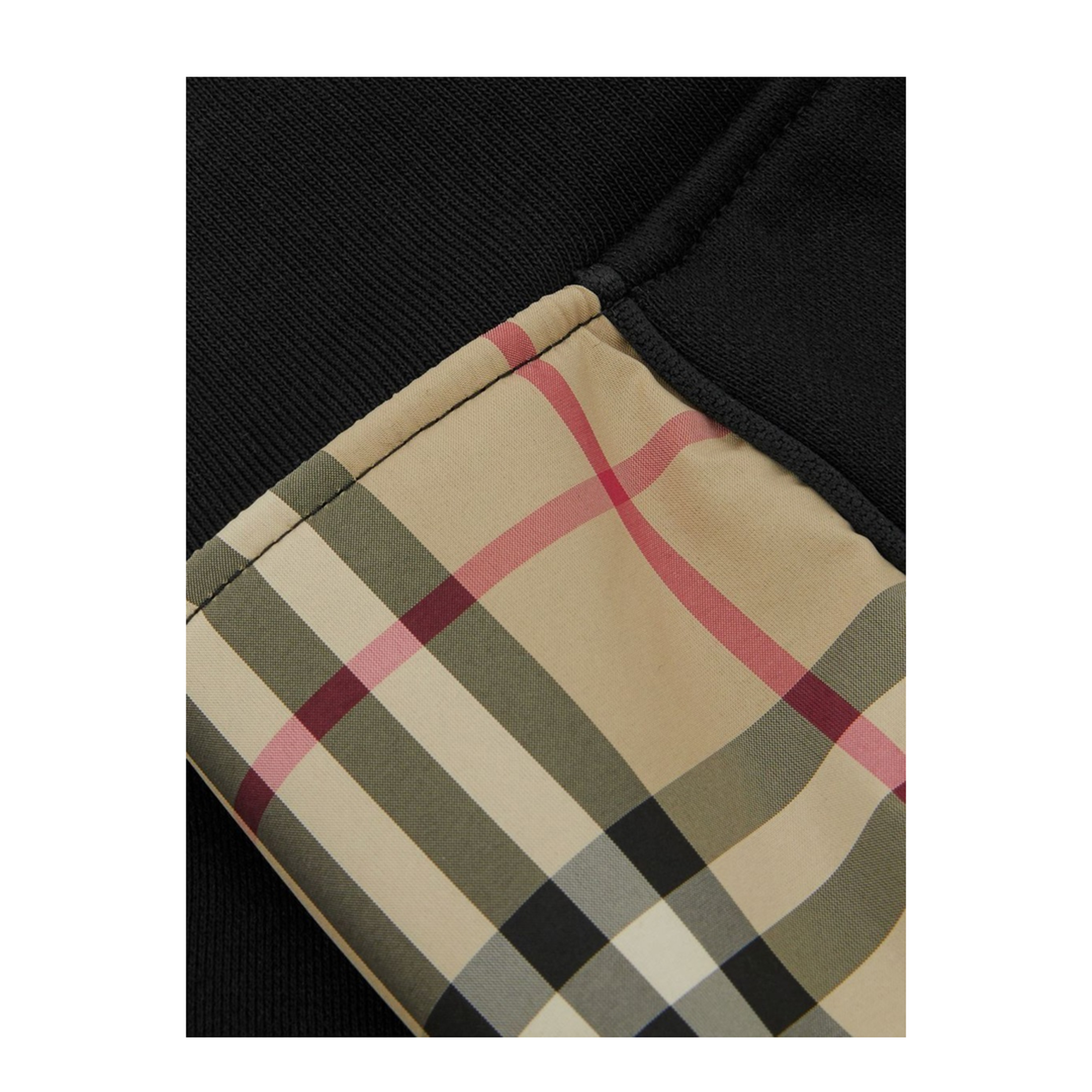 nolen shorts - Image 3