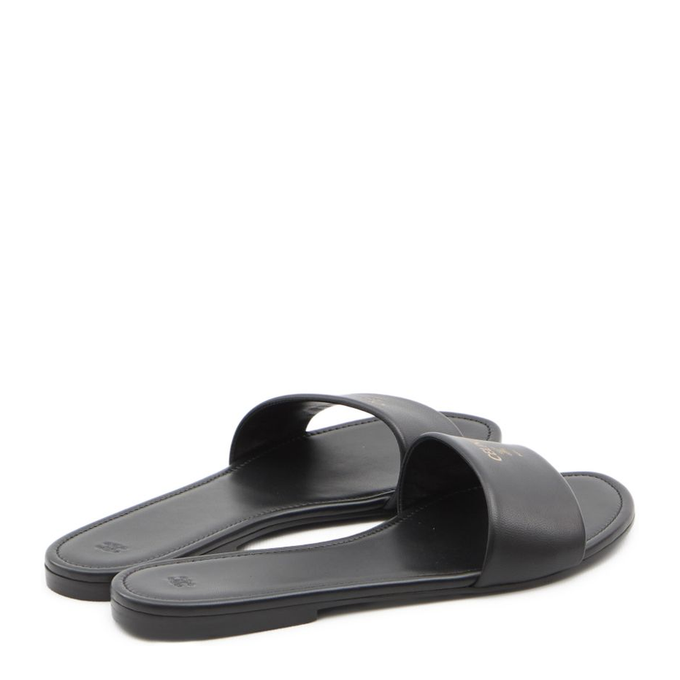 Coast Mule - Image 3
