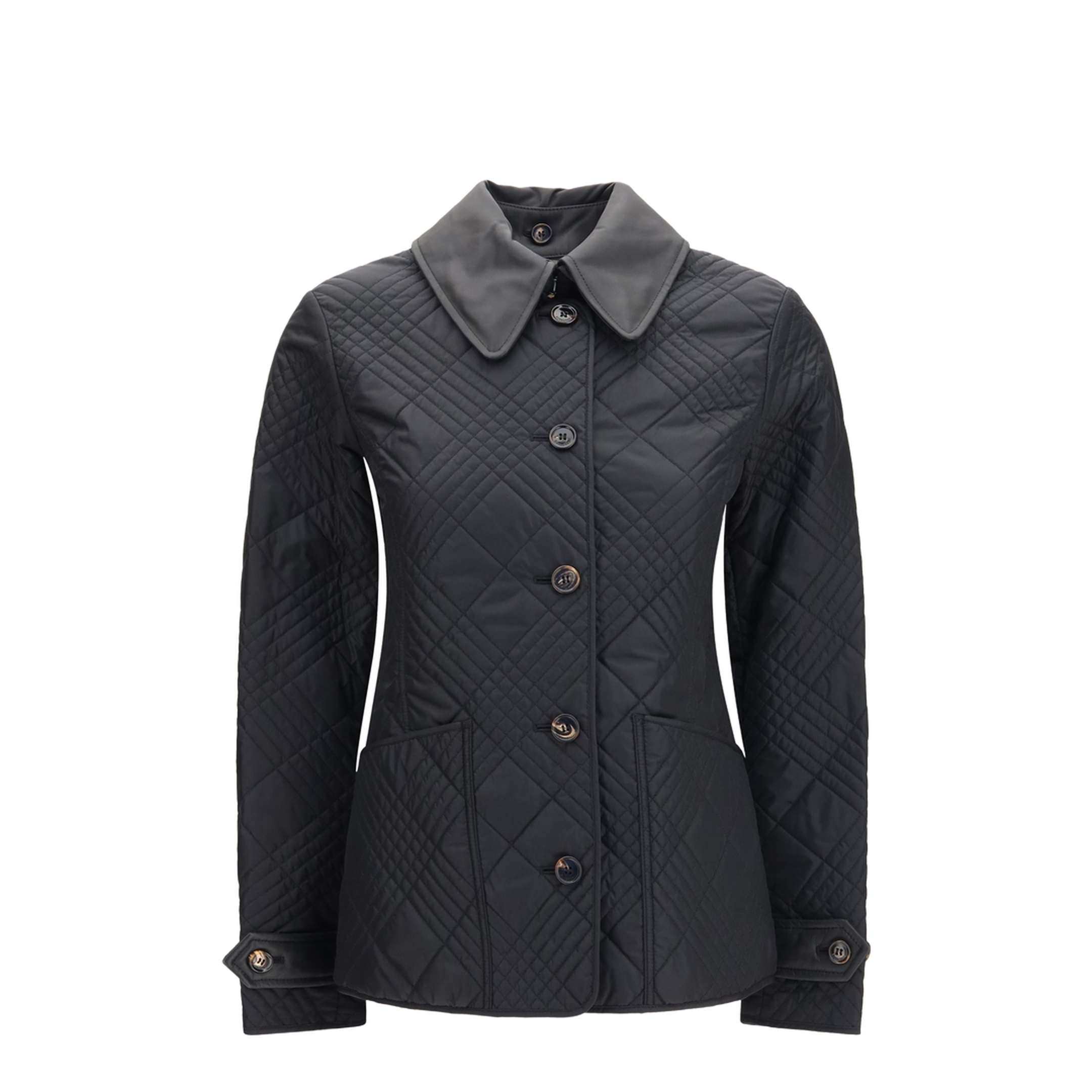 Fernleigh Quilted Nylon Jacket - Image 1