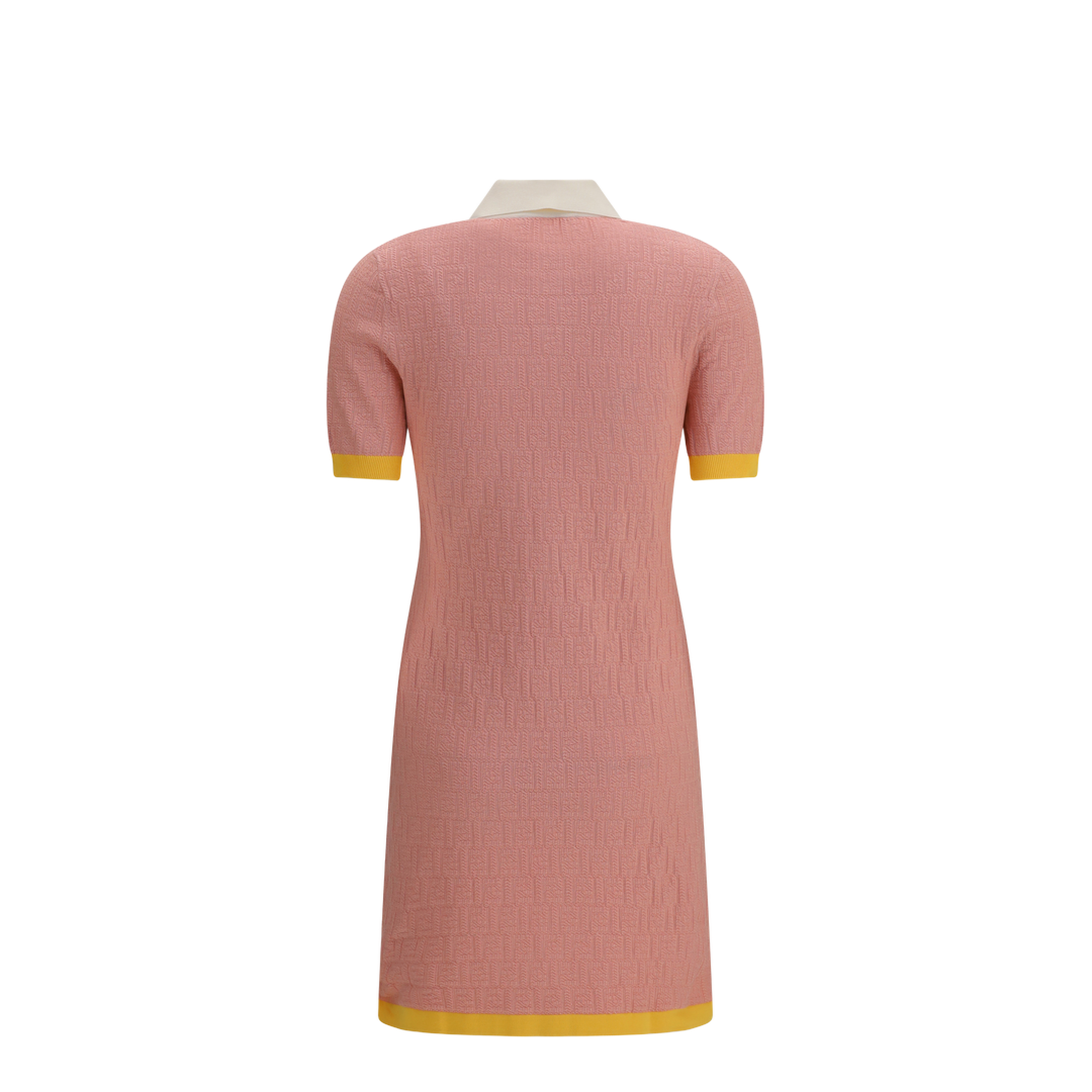 Short Fitted Cotton and Silk Dress - Image 2