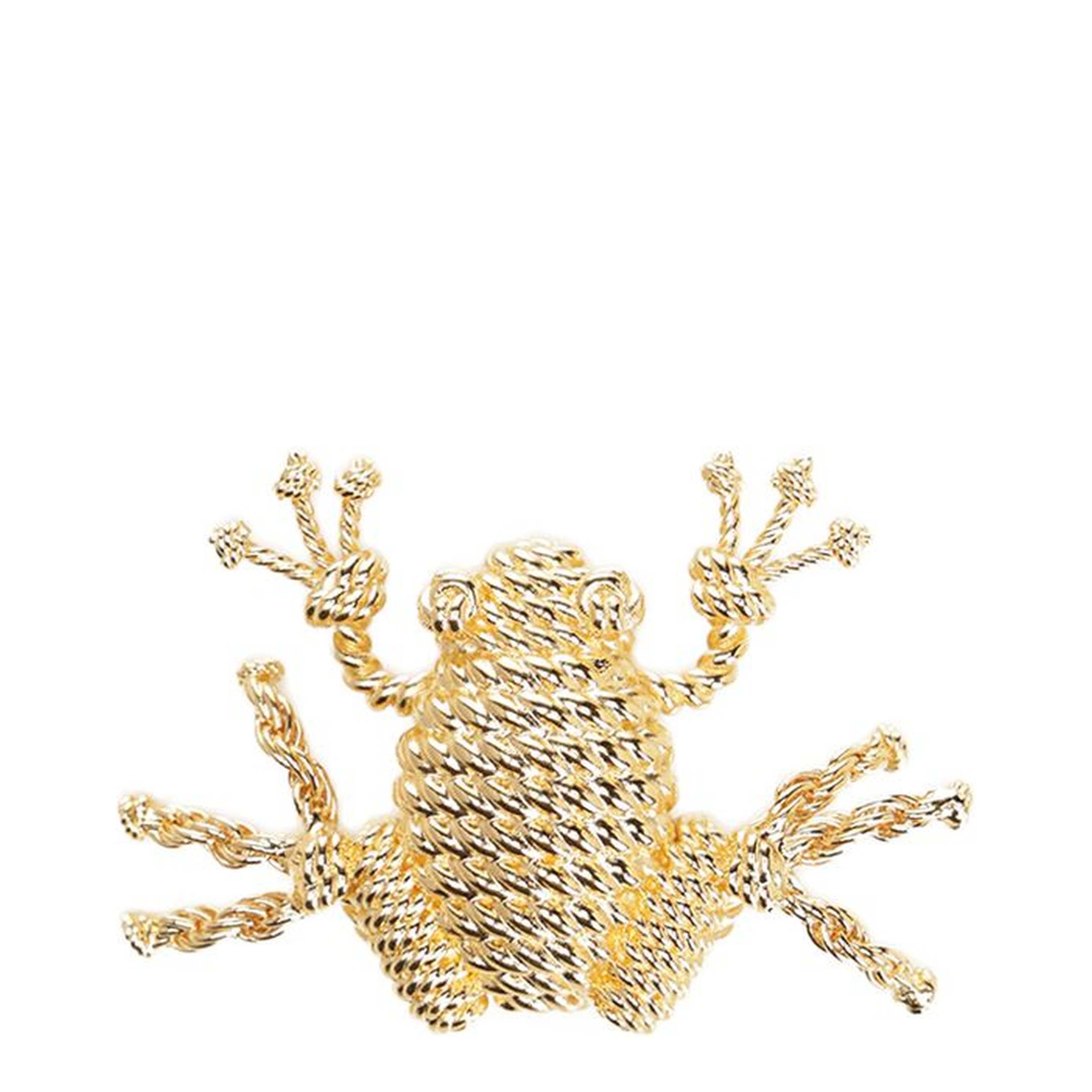 Metal Frog Brooch - Image 1