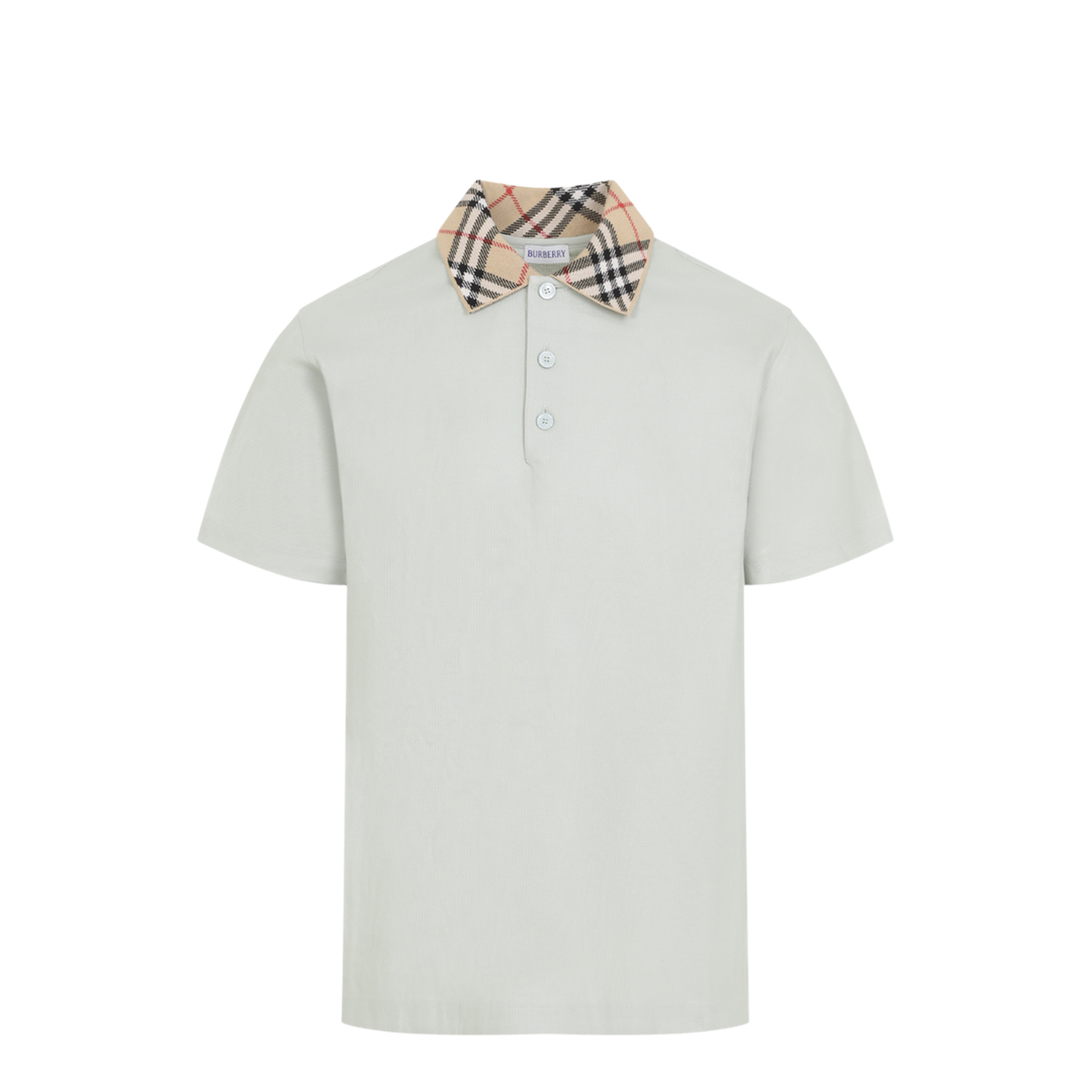 Evan Polo - Image 2