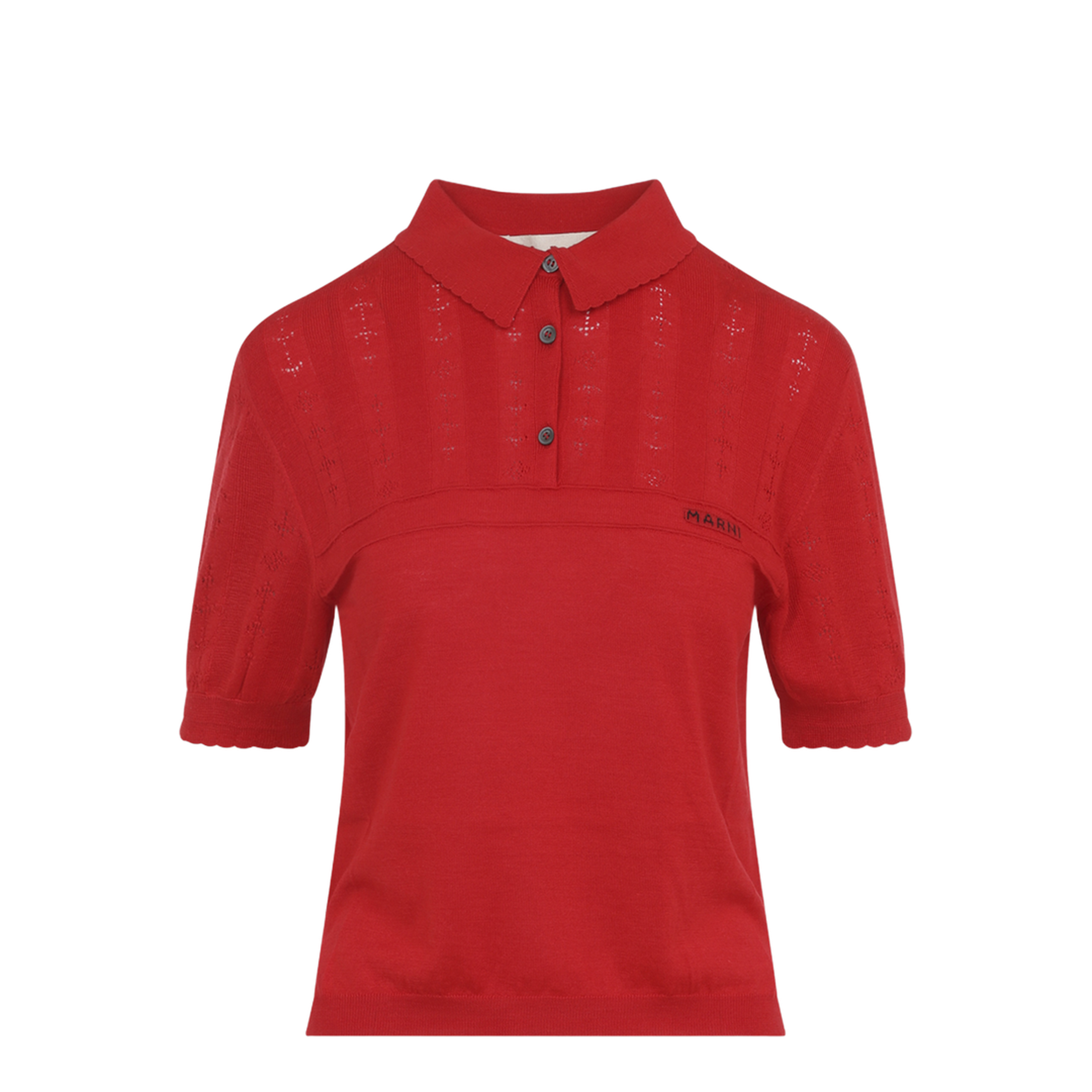 Polo - Image 1