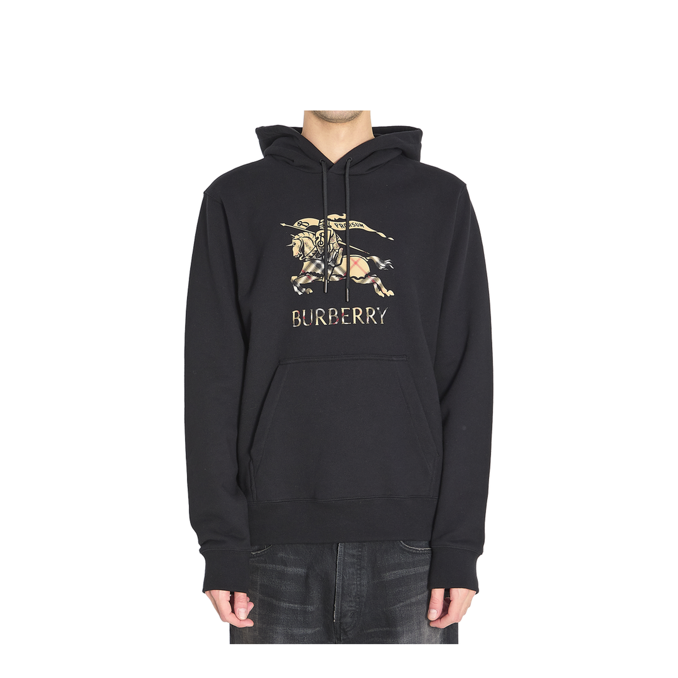 Cotton Jersey Hoodie - Image 1