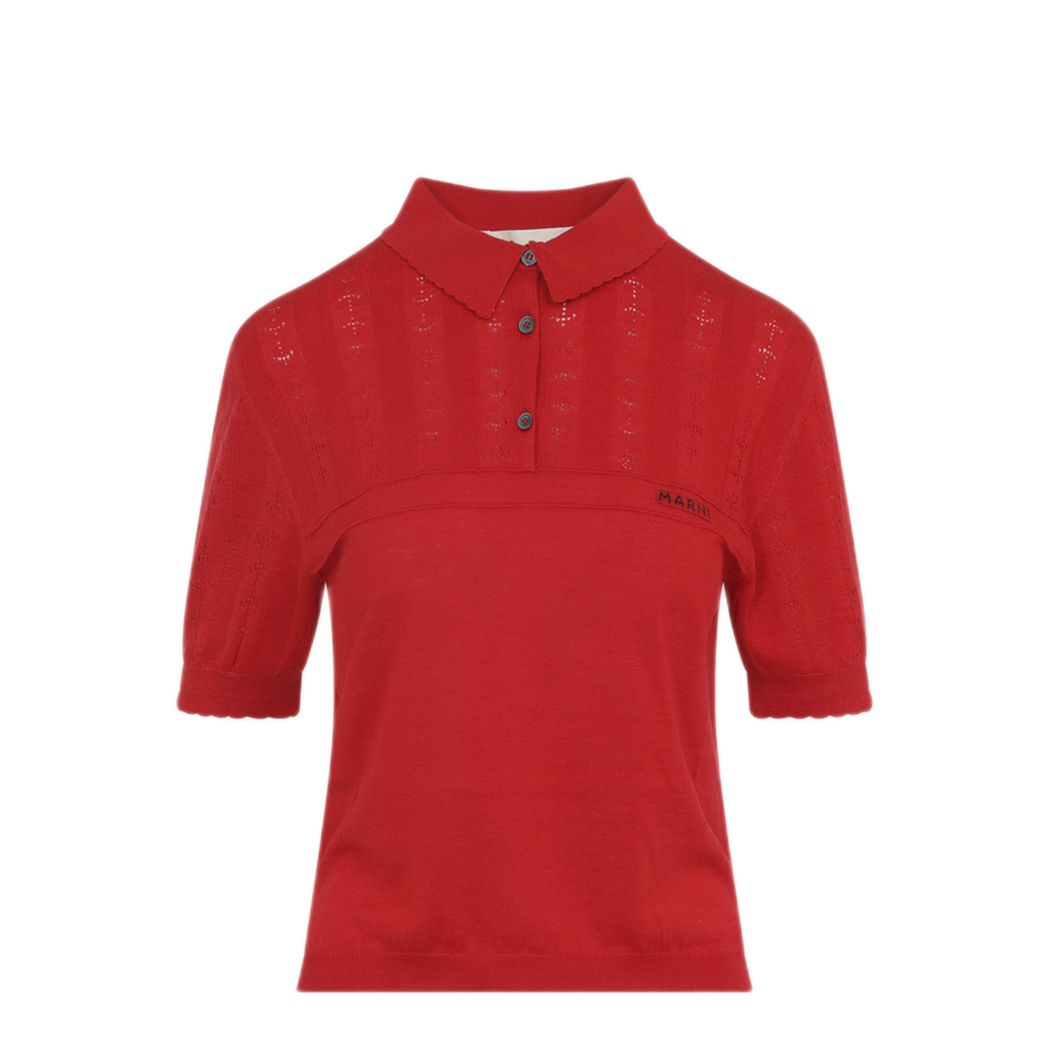 Polo - Image 3