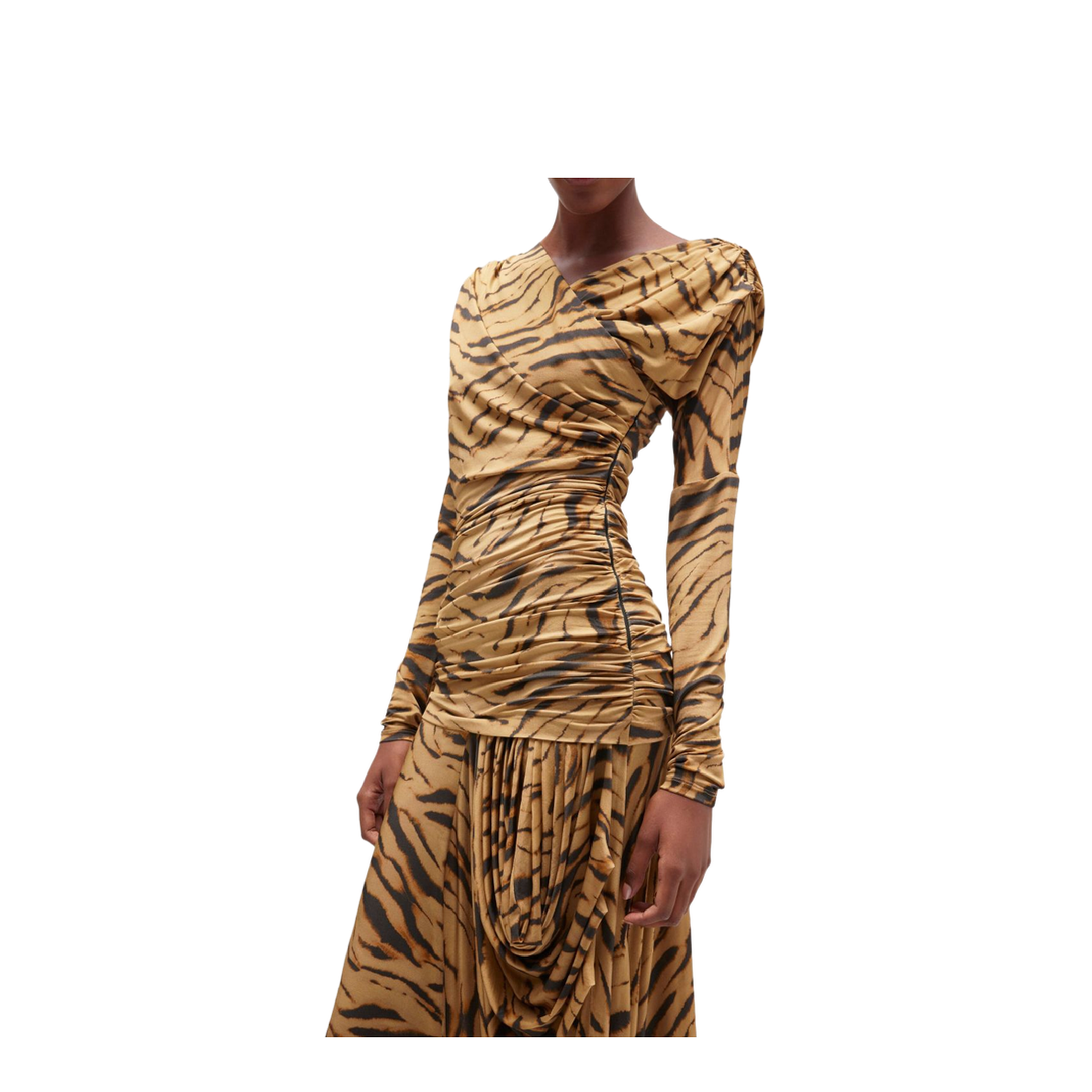 Long Dress with Zebra Print - Image 3