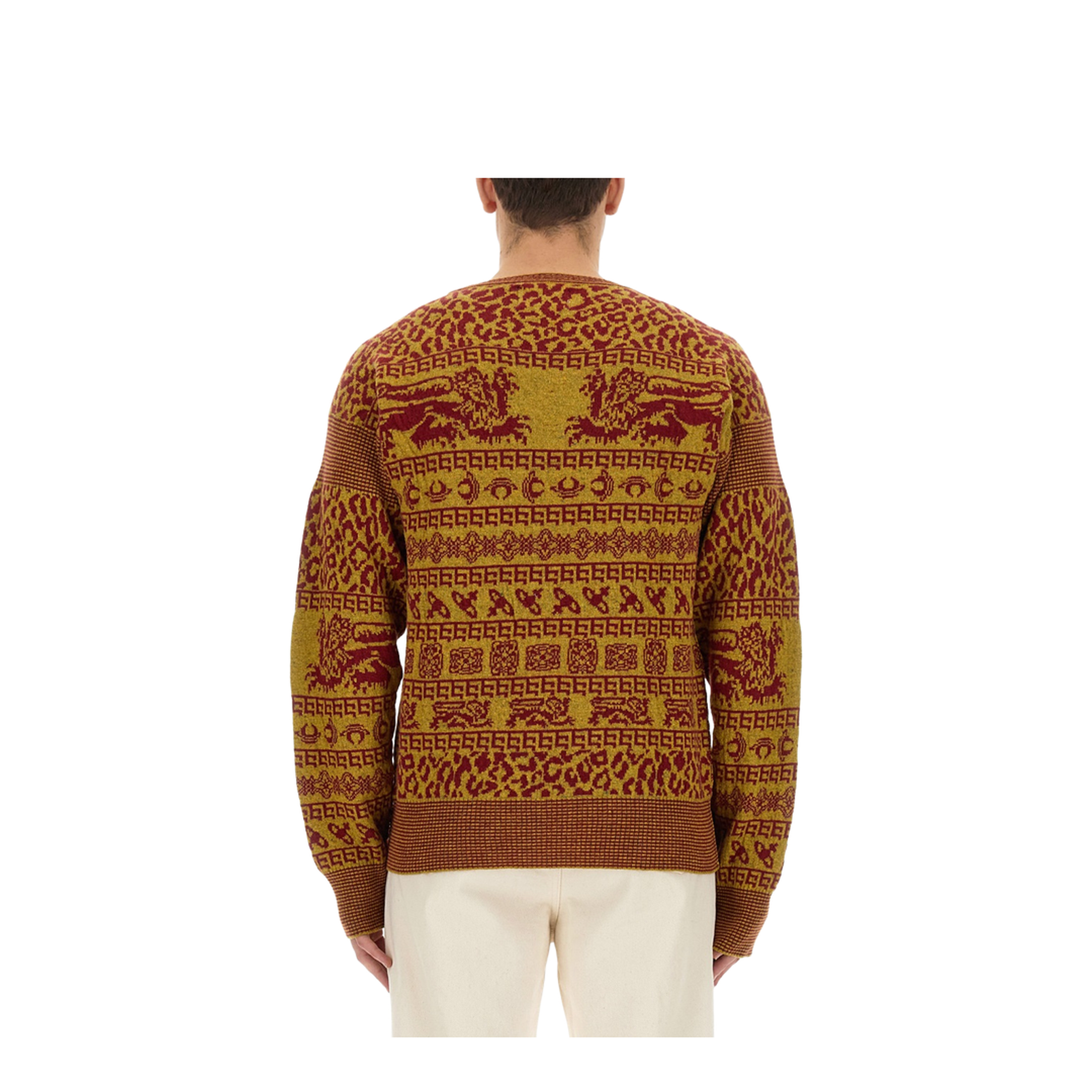 Lion Shirt - Image 2