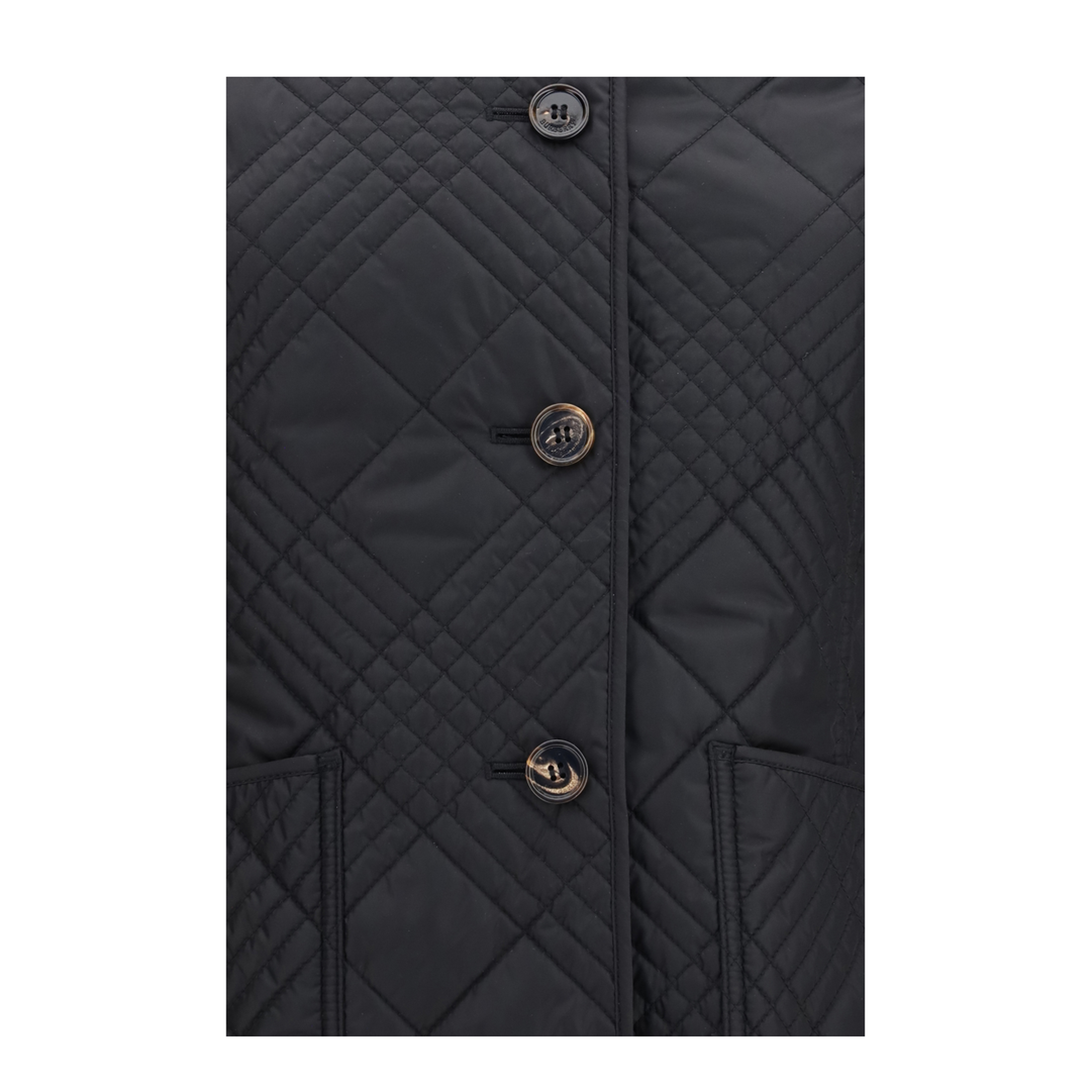 Fernleigh Quilted Nylon Jacket - Image 3