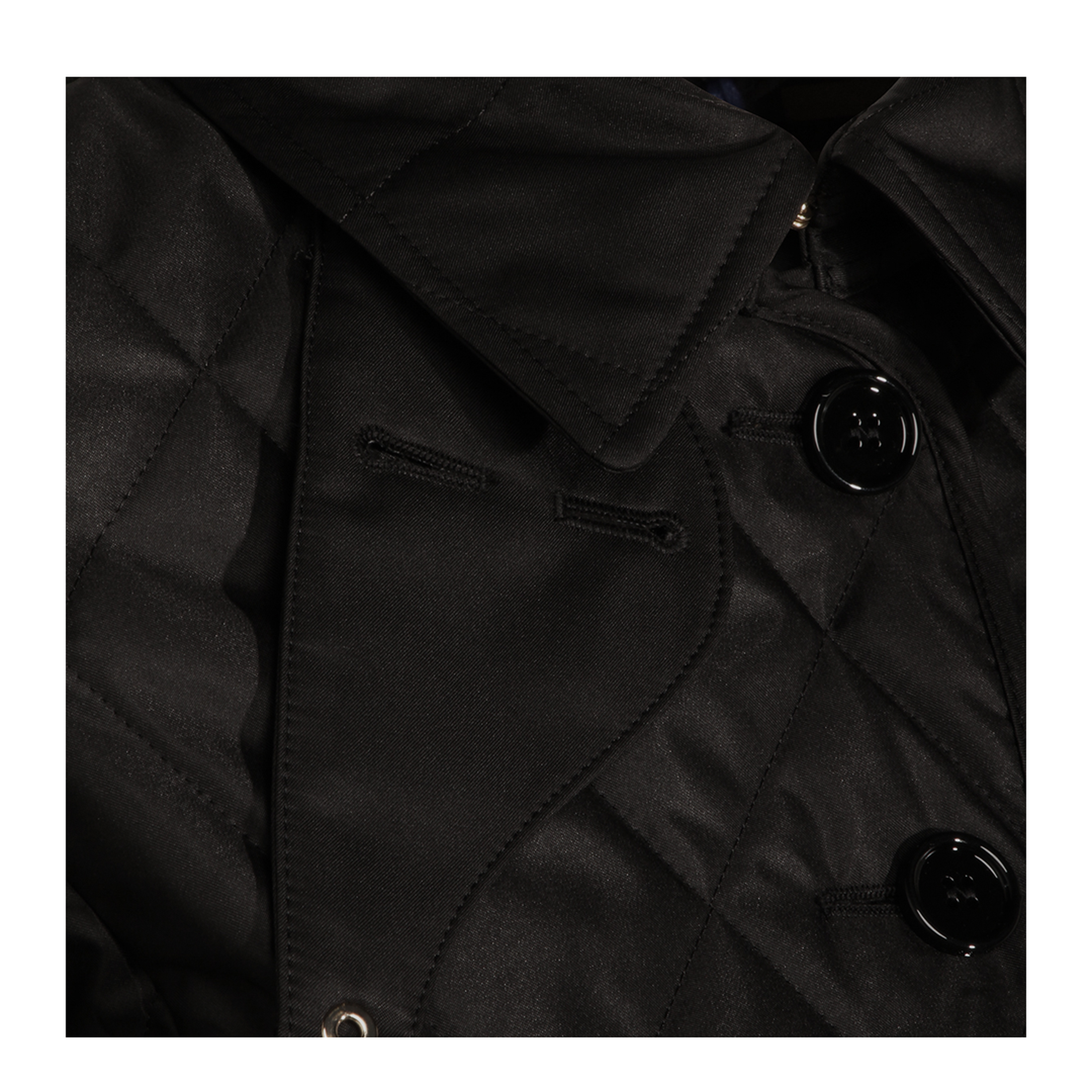 Quilted Jacket In Black - Image 5
