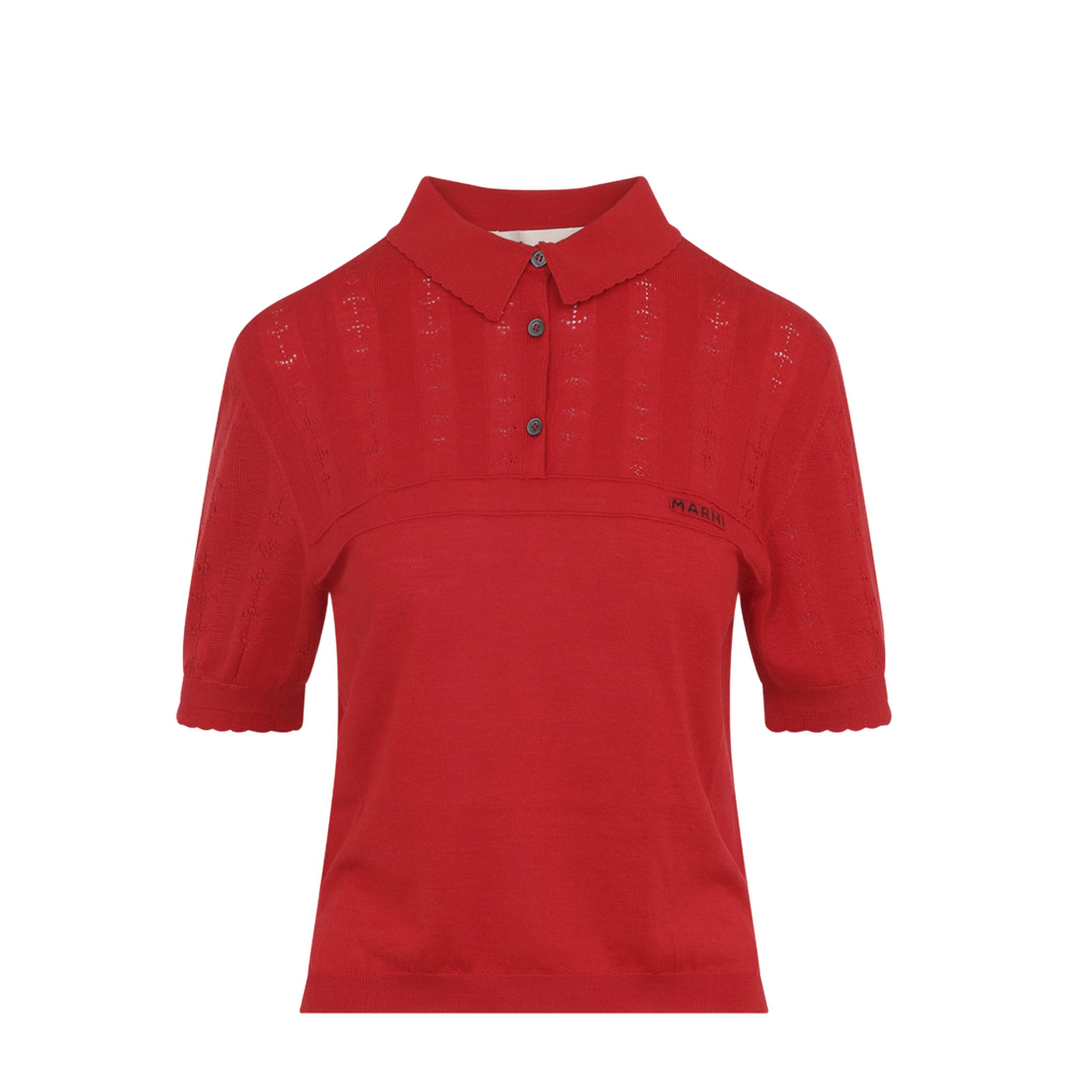 Polo - Image 2