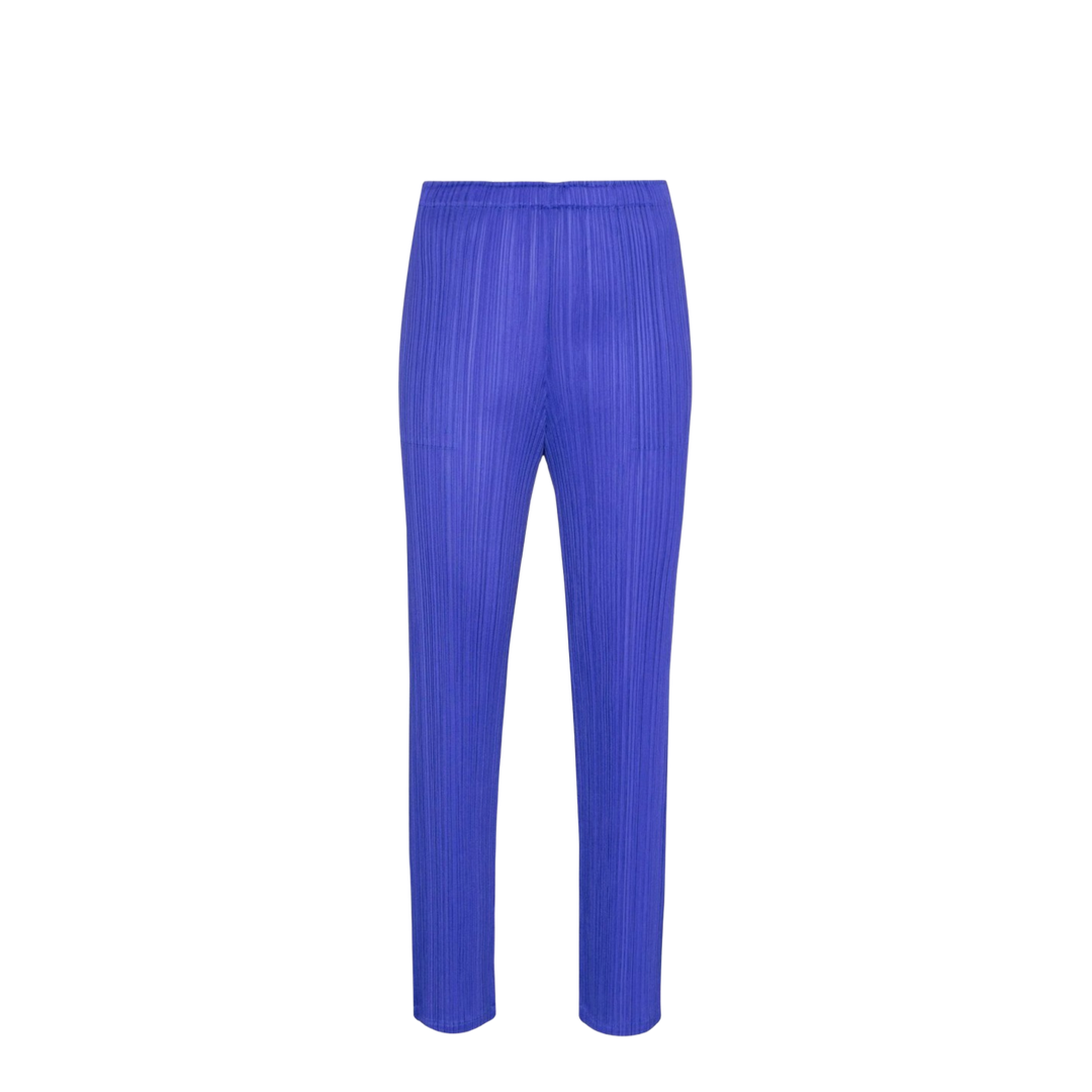 Pleated Pants - Image 1