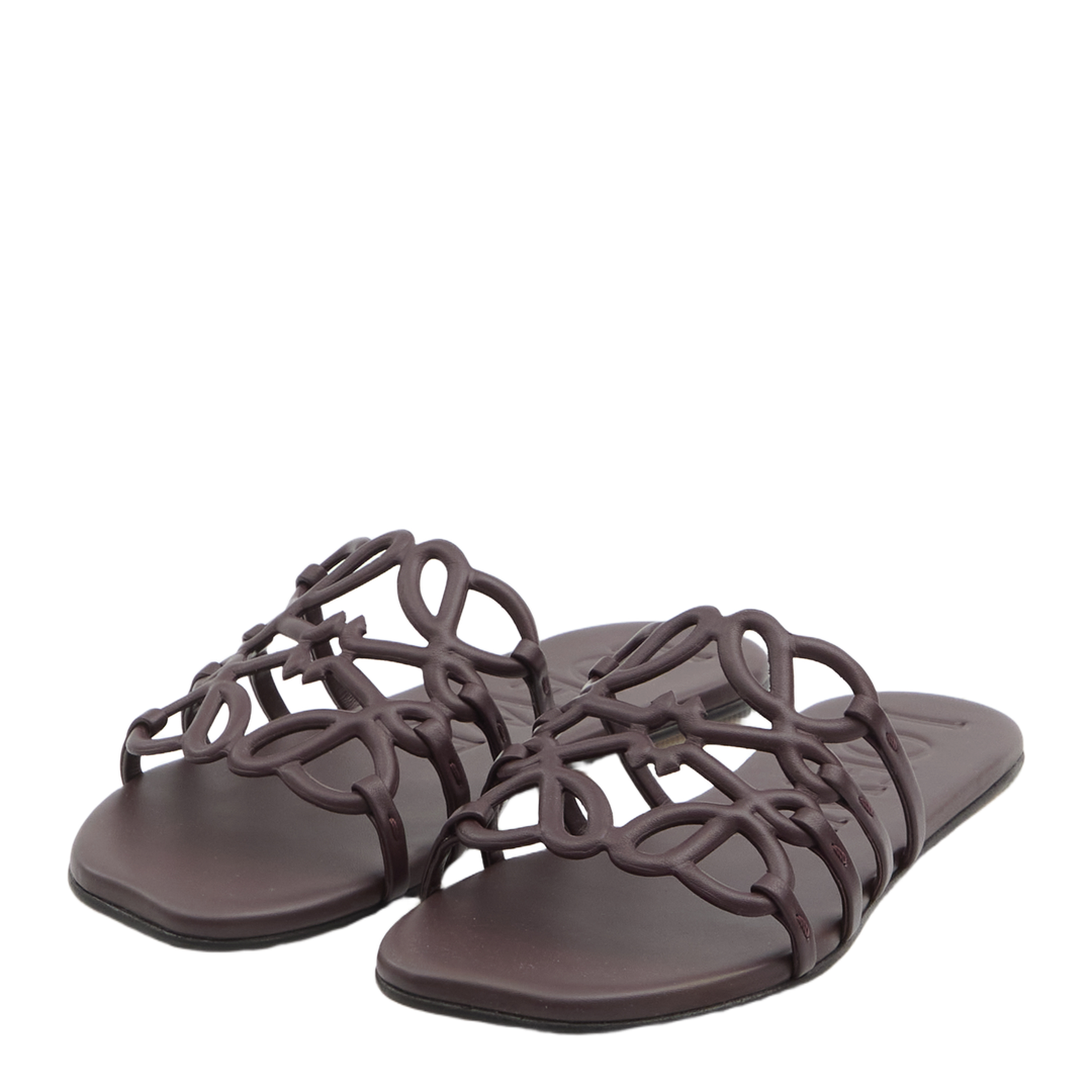 Anagram Petal Slides - Image 2