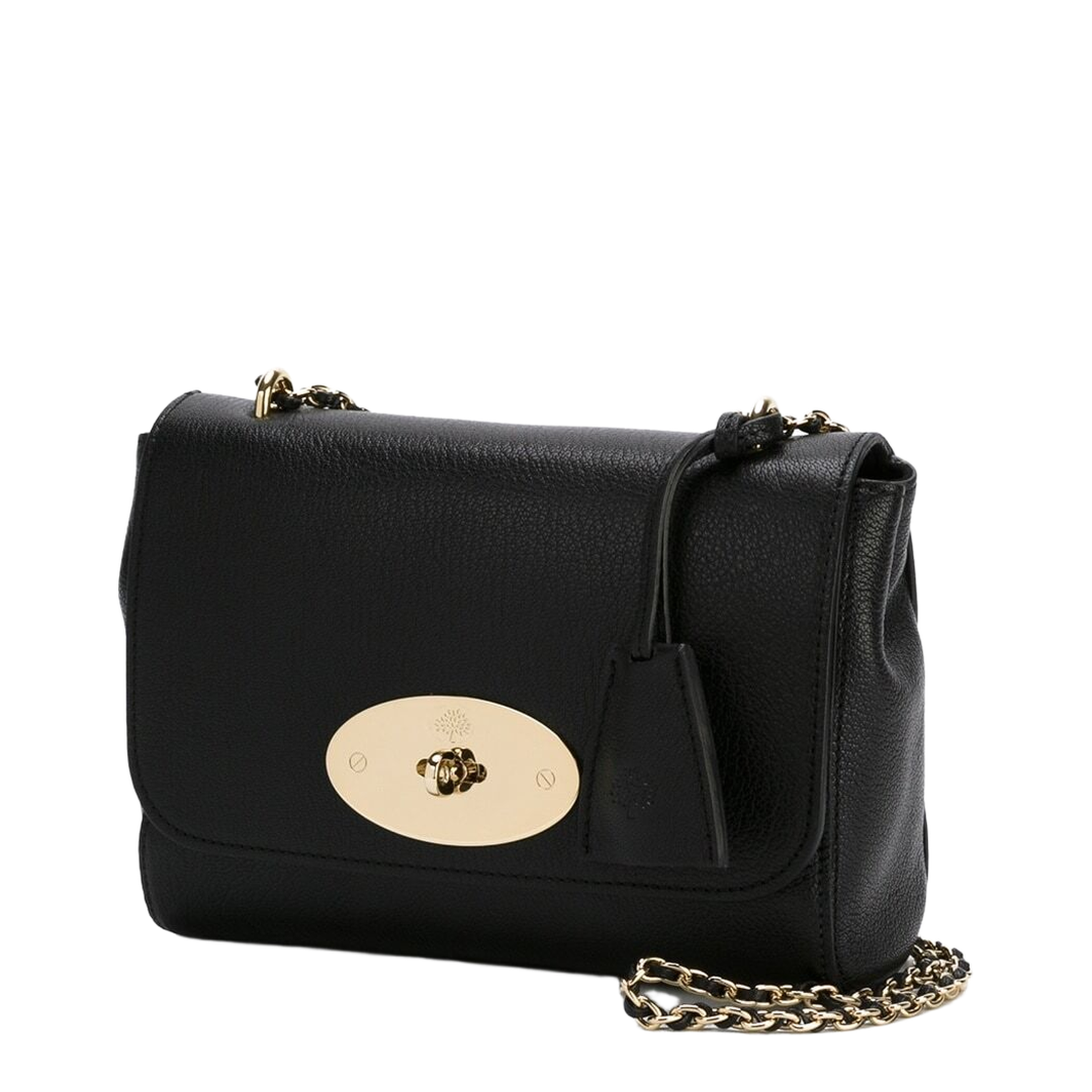 Toned Glossy Goat Leather Bag - Image 2
