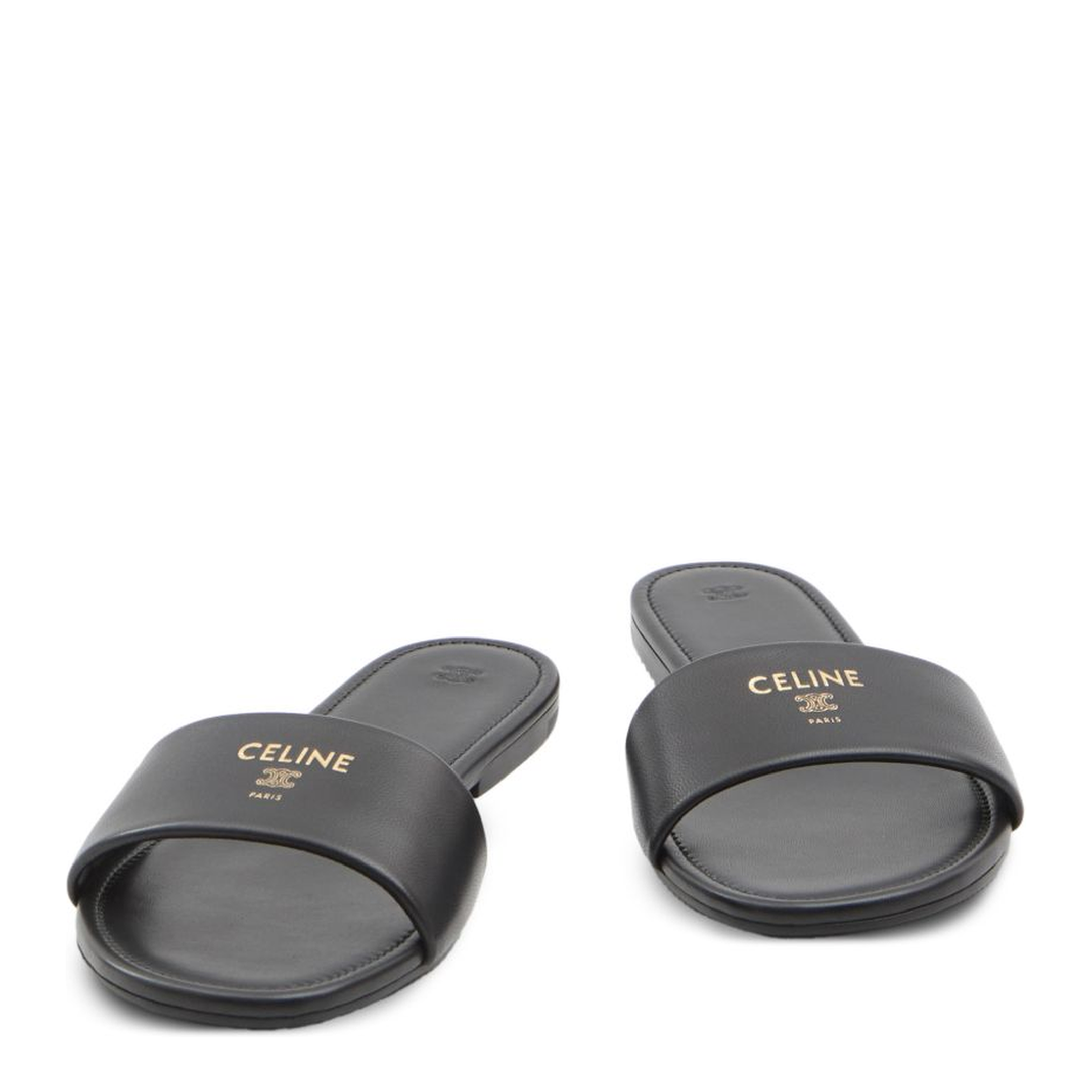 Coast Mule - Image 2