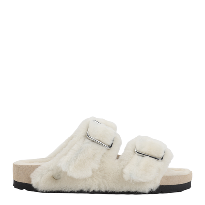 Arizona Mules - Image 3