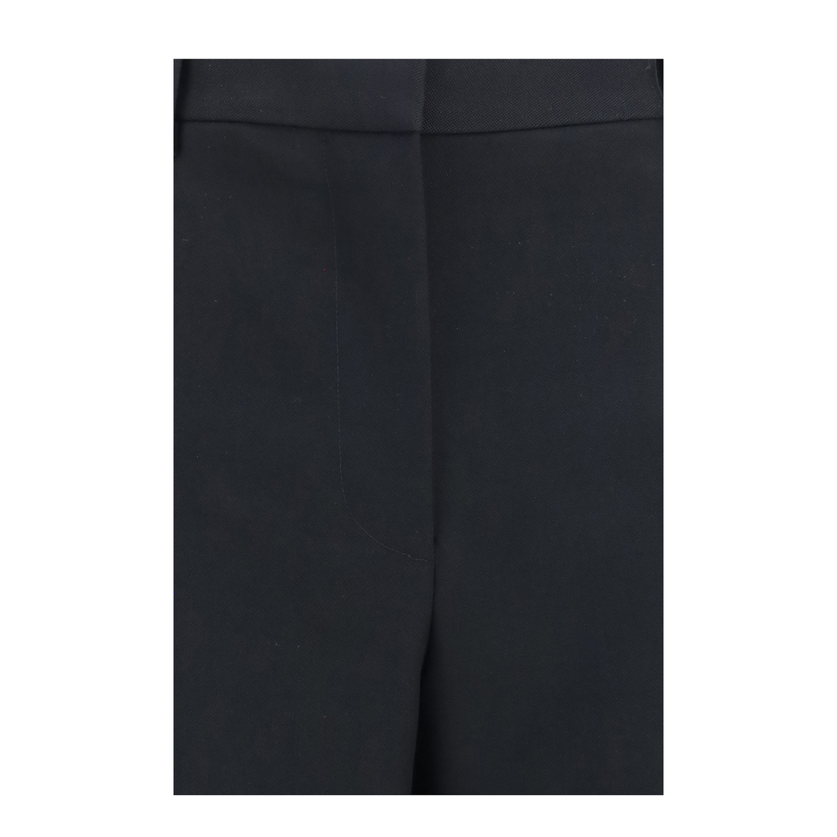 Wide Leg Pleated Pants - Image 3