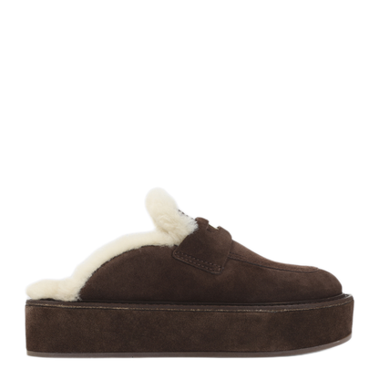 SABOT - Image 1