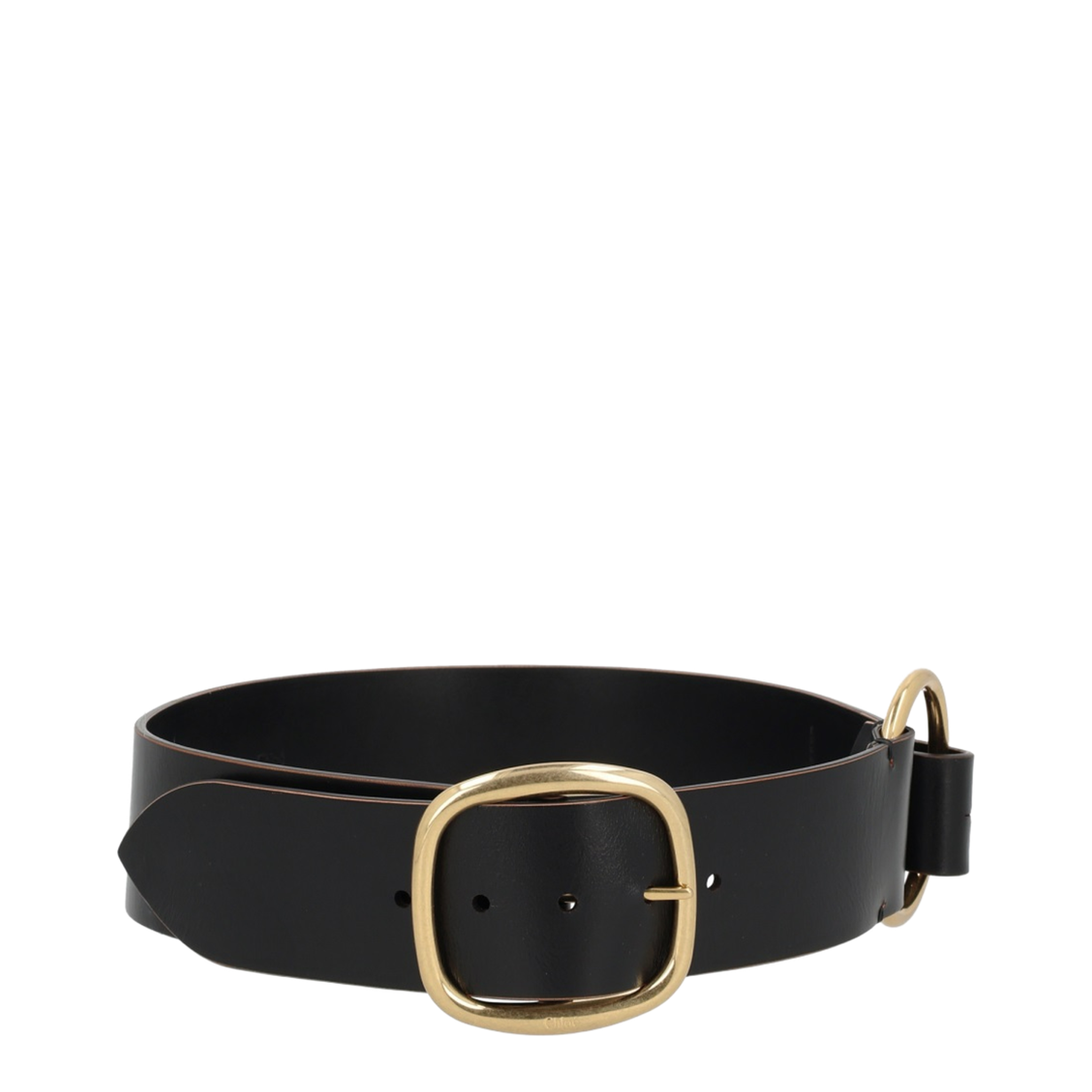 Anita Belt - Image 1