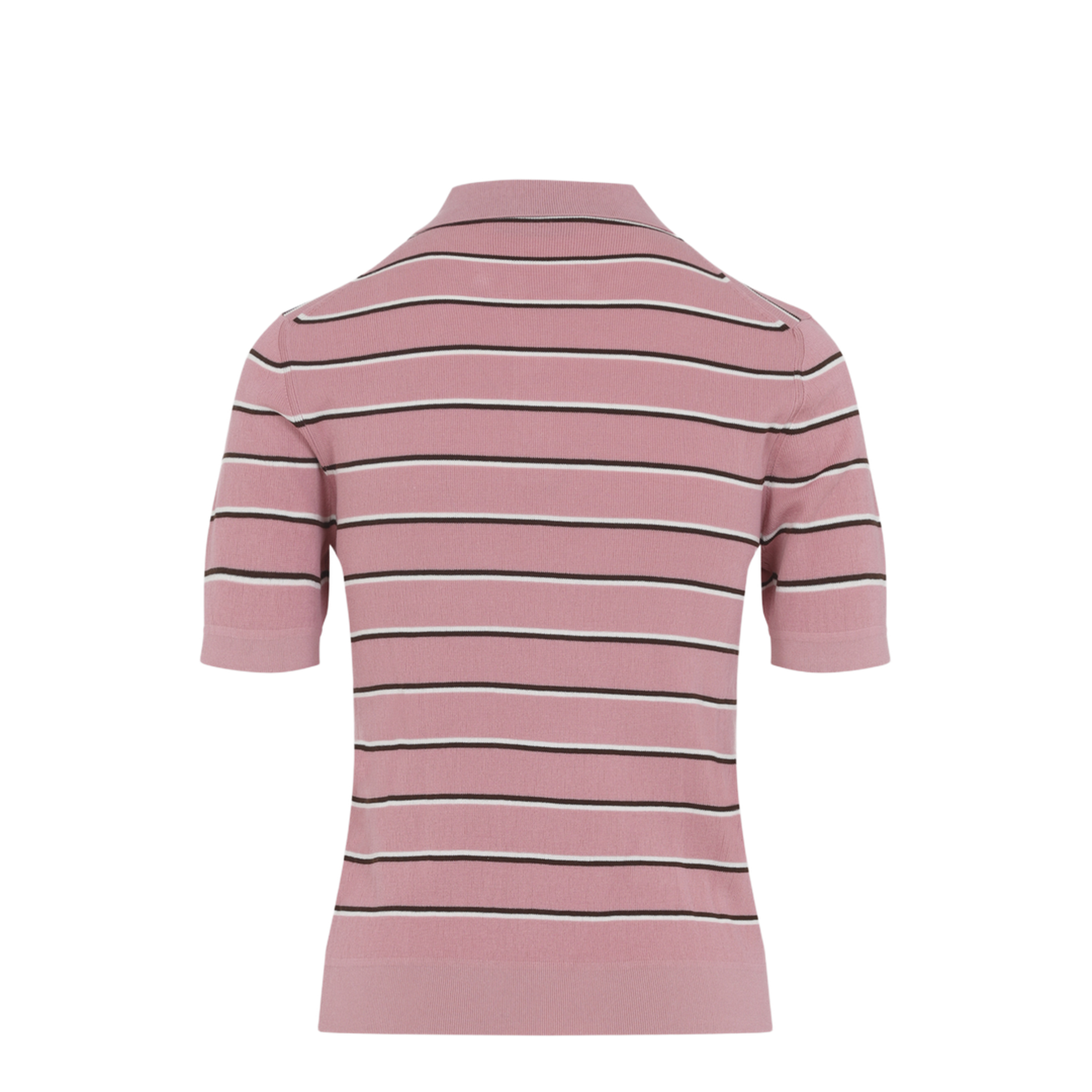 Polo - Image 4